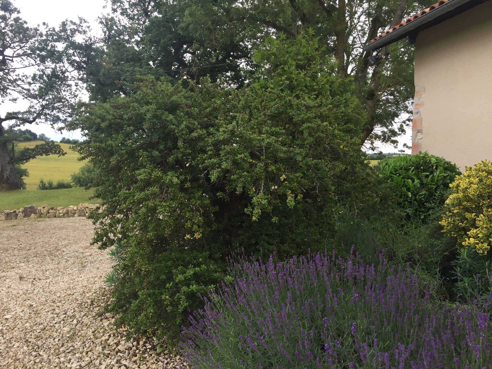   maison Joie de Vivre