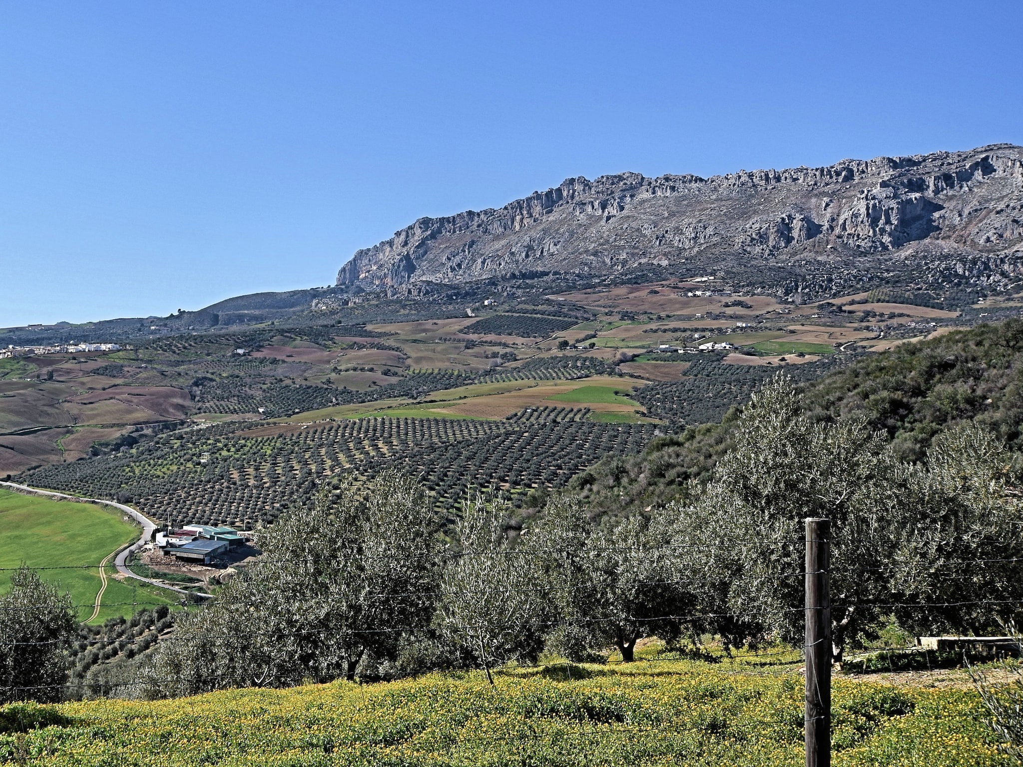   Casa Celeste