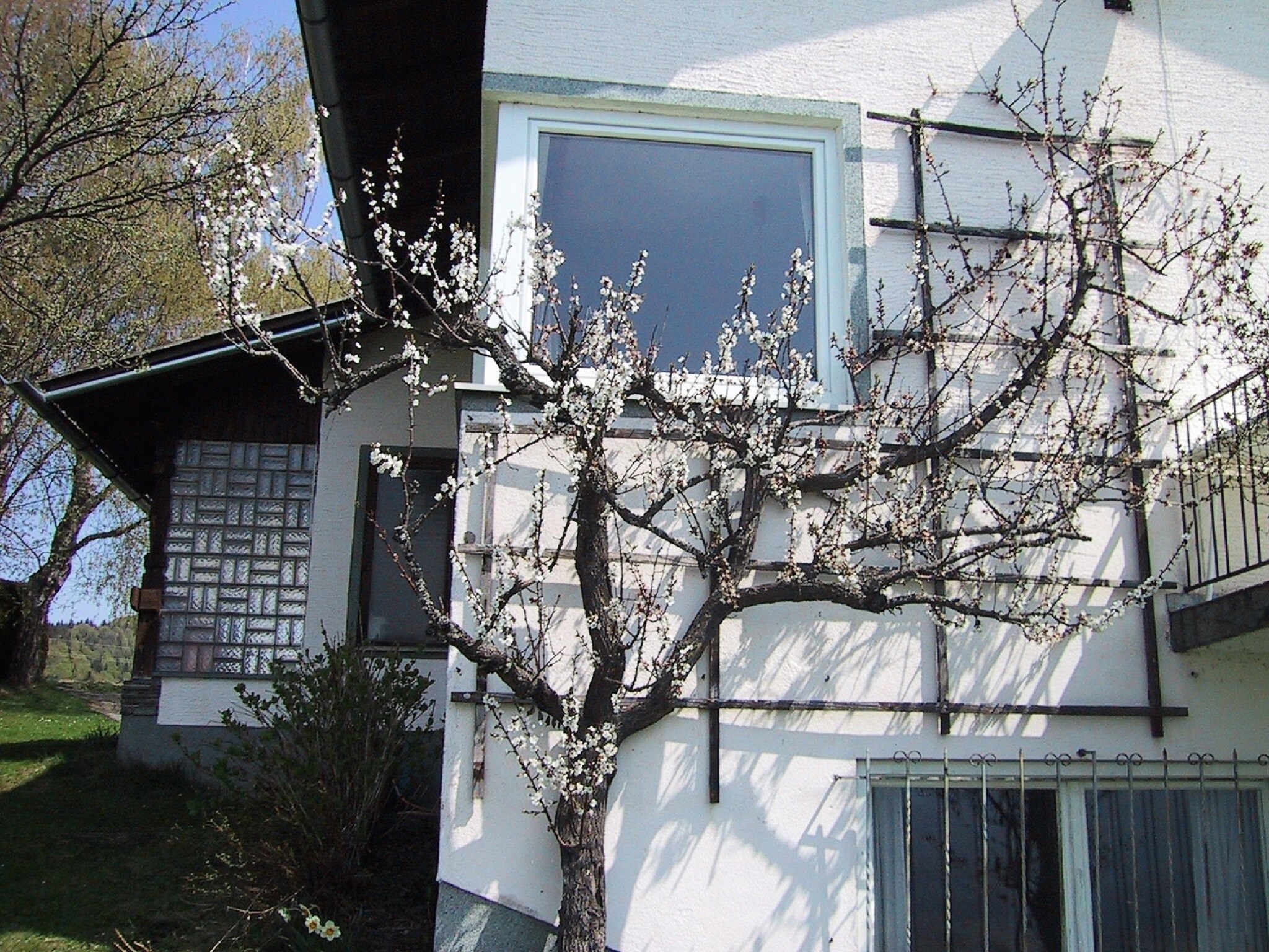   Haus Karawankenblick