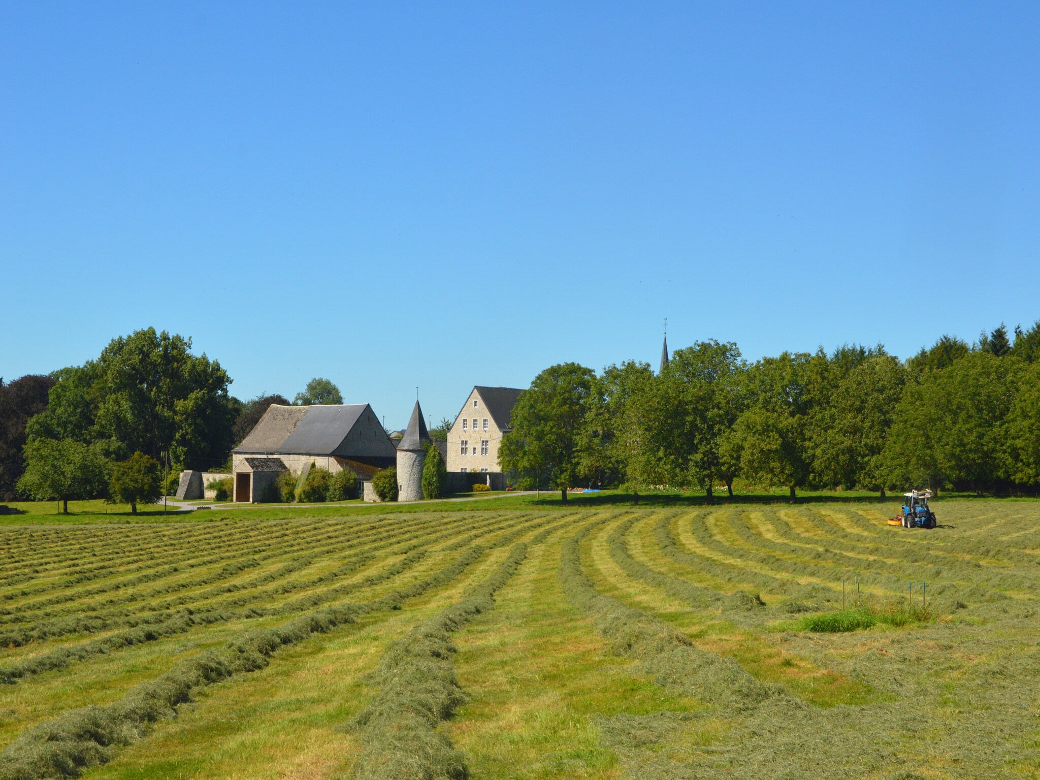   Le Bonheur