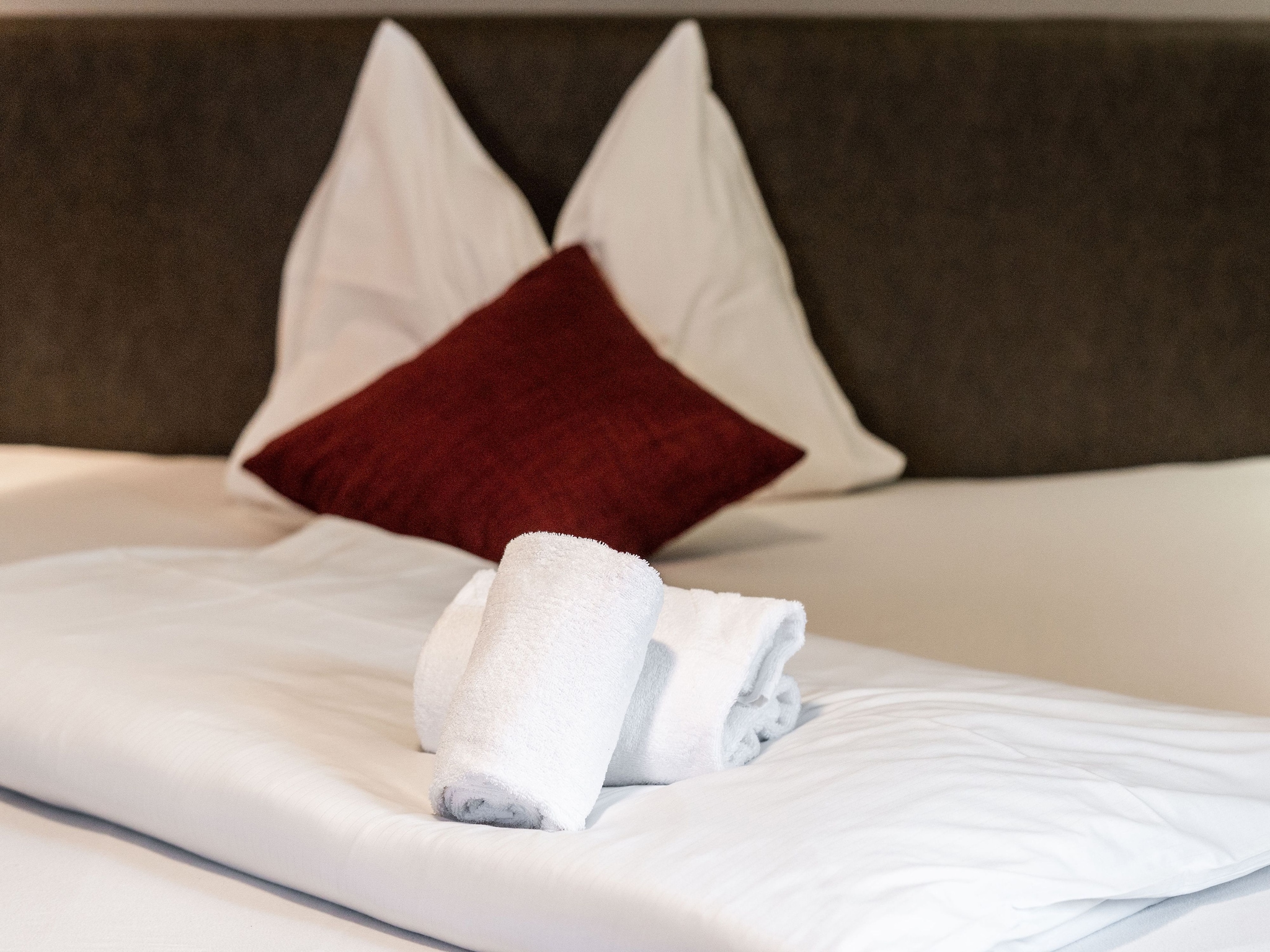 Ferienhaus Chalet Salzach