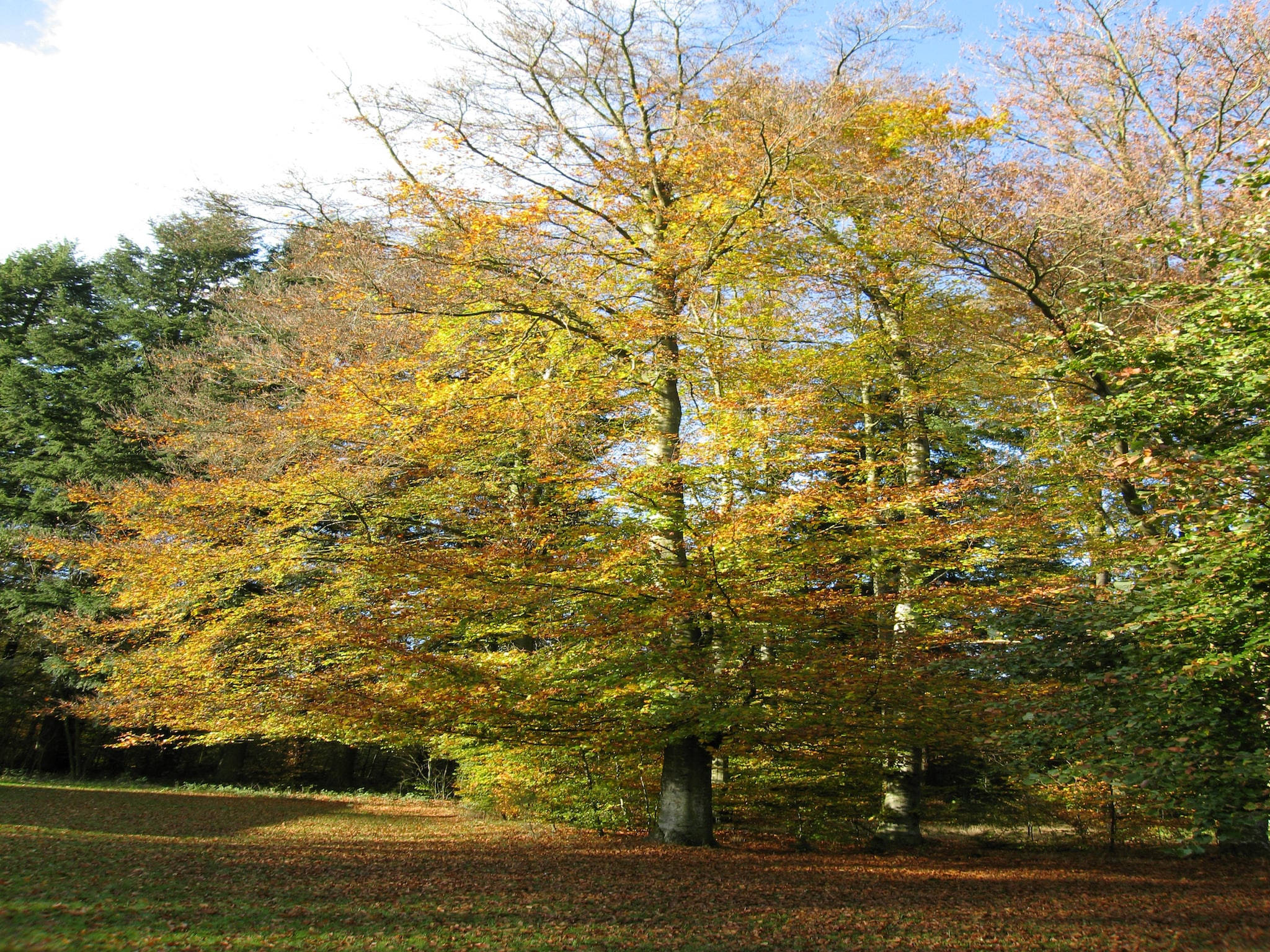  Les Jardins de l'Ourthe 16