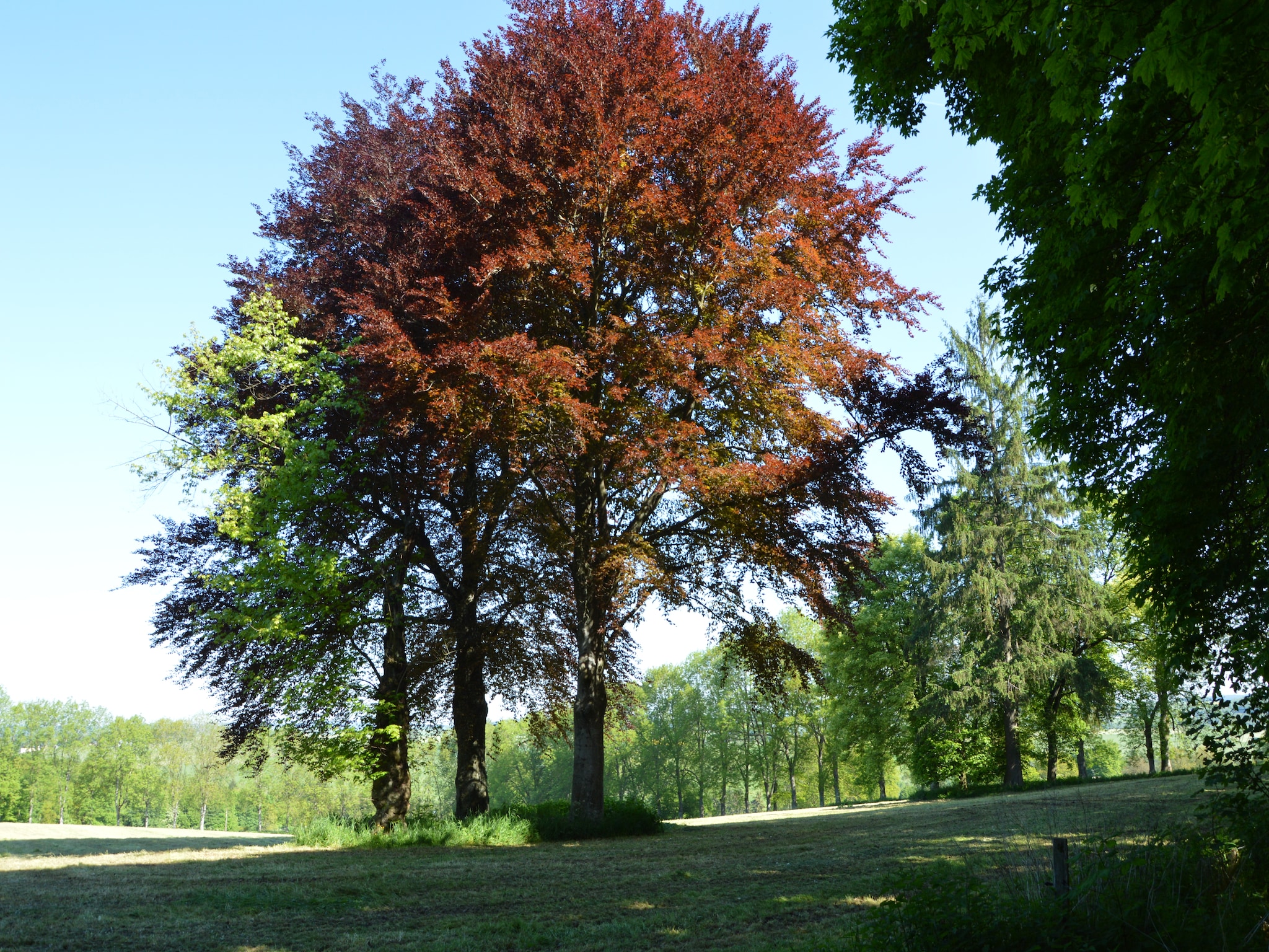   Les Jardins de l'Ourthe 8