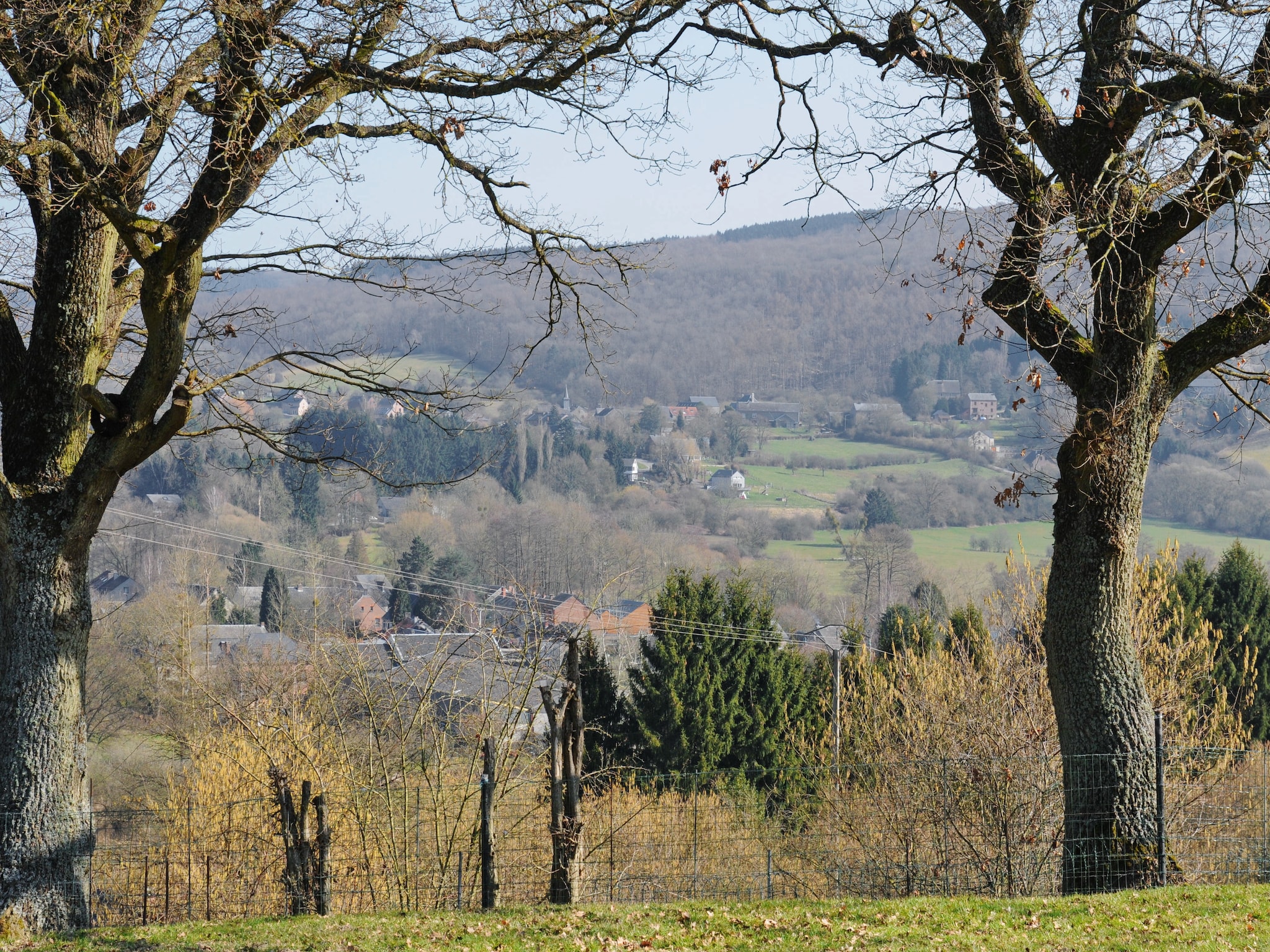   Mare aux Saules