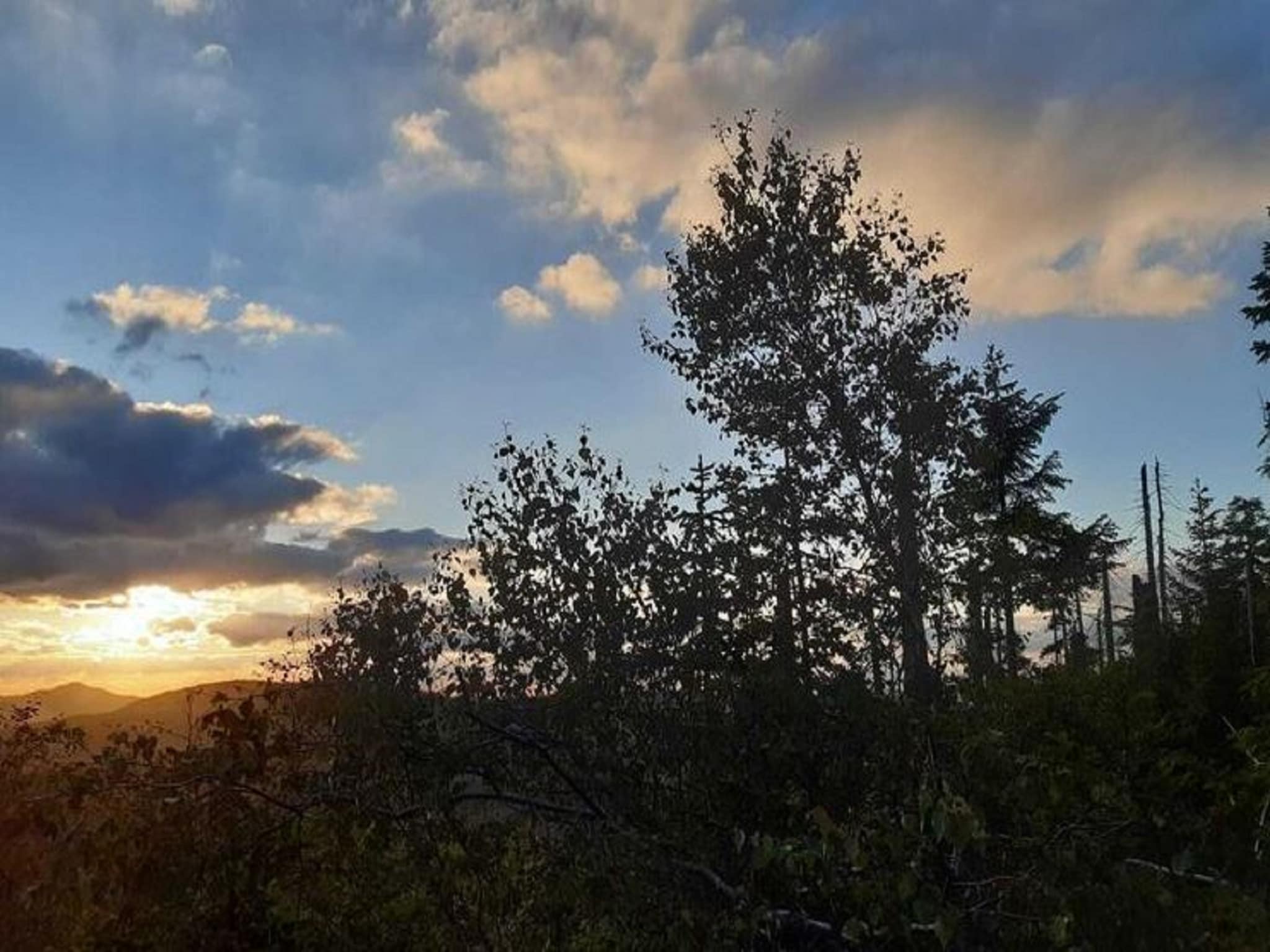 Ferienwohnung Im Bayerischen Wald