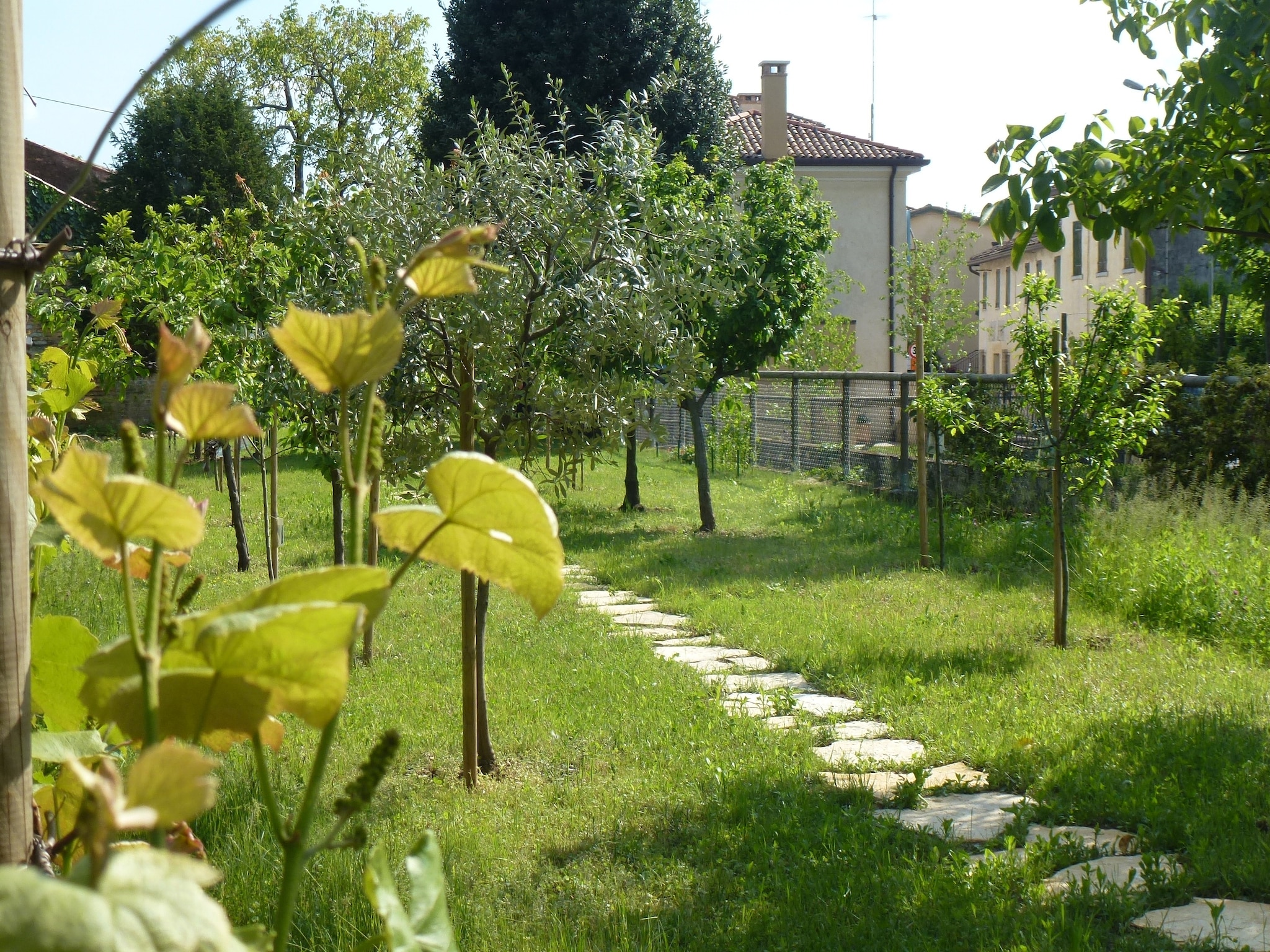   Casa sul Piave