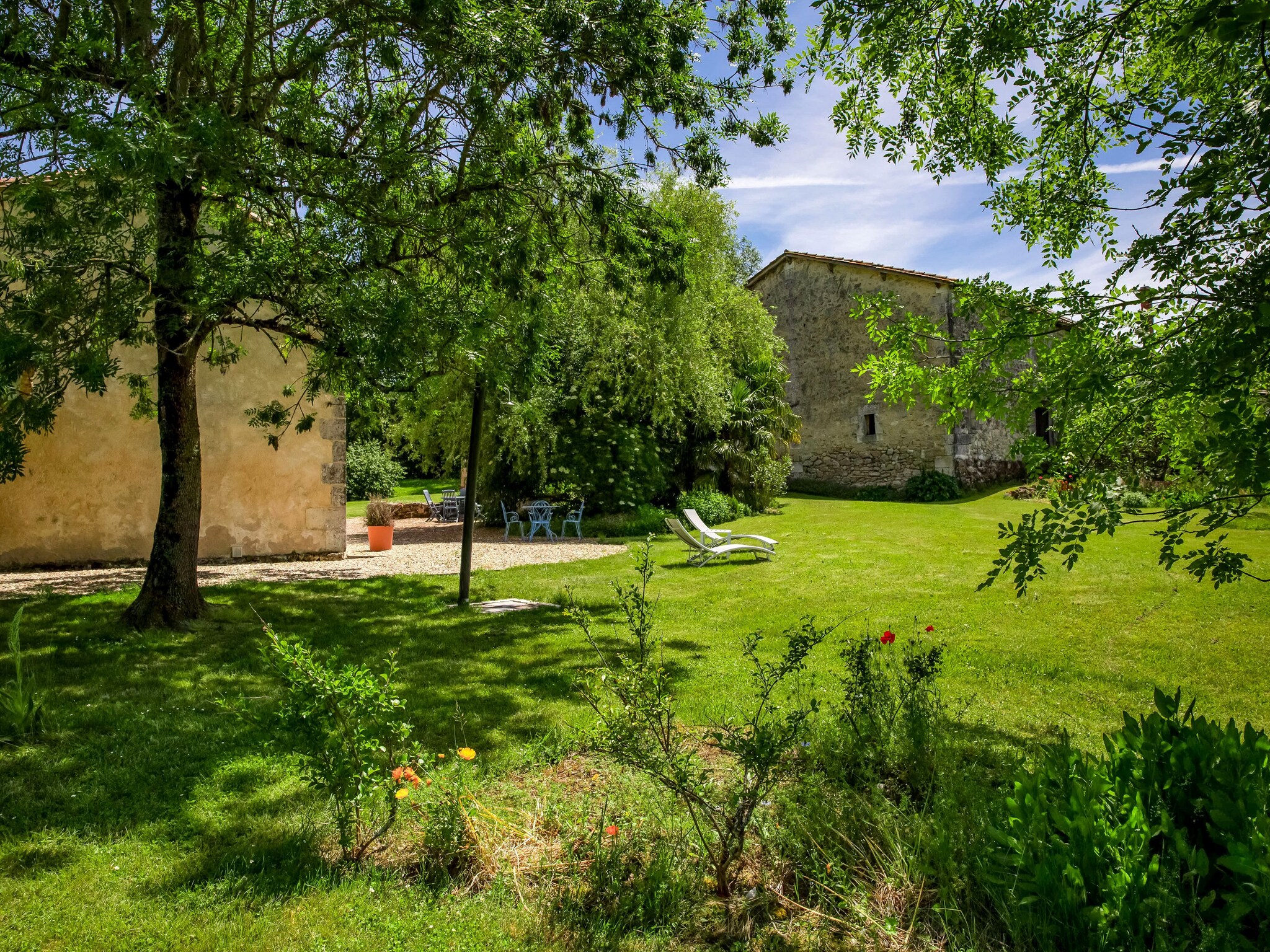   Domaine de Geneviève des Vignes