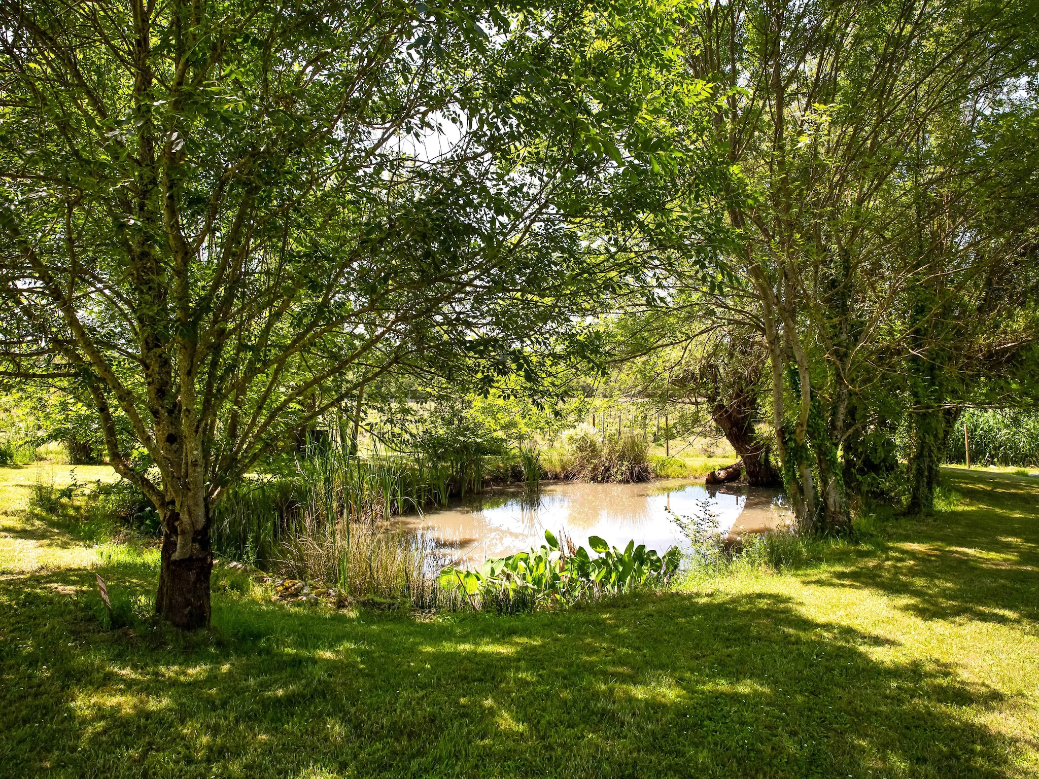   Domaine de Geneviève des Vignes