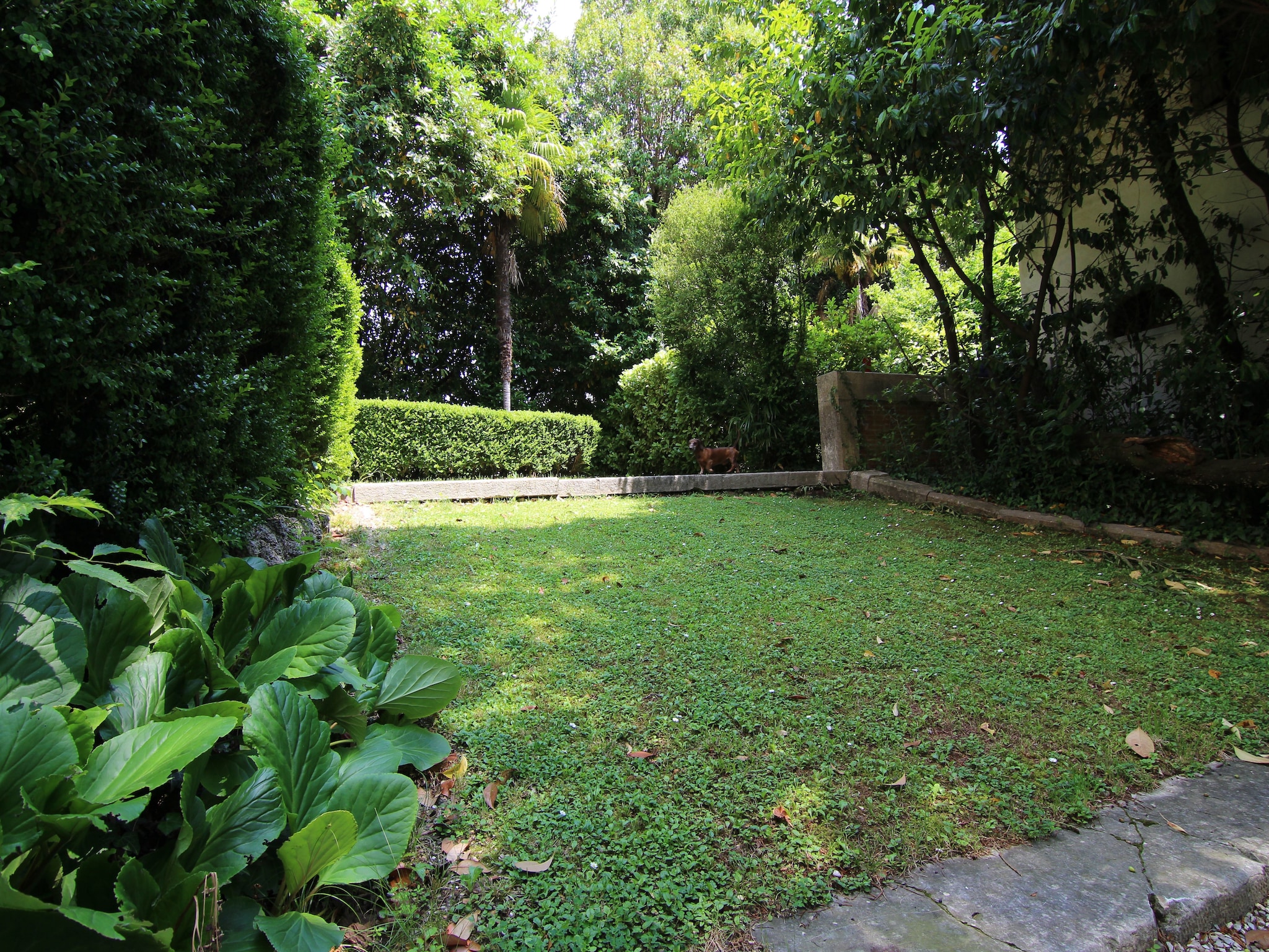 度假住宅 Villa Fiorita Uno
