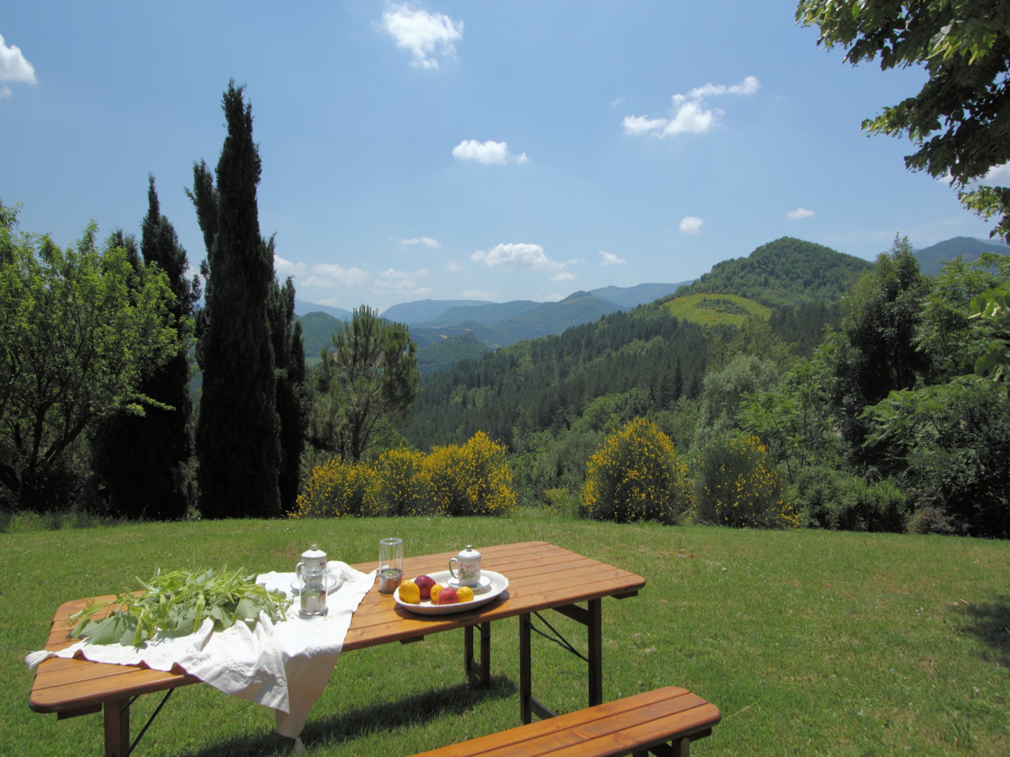  Del Frontino La Biagina