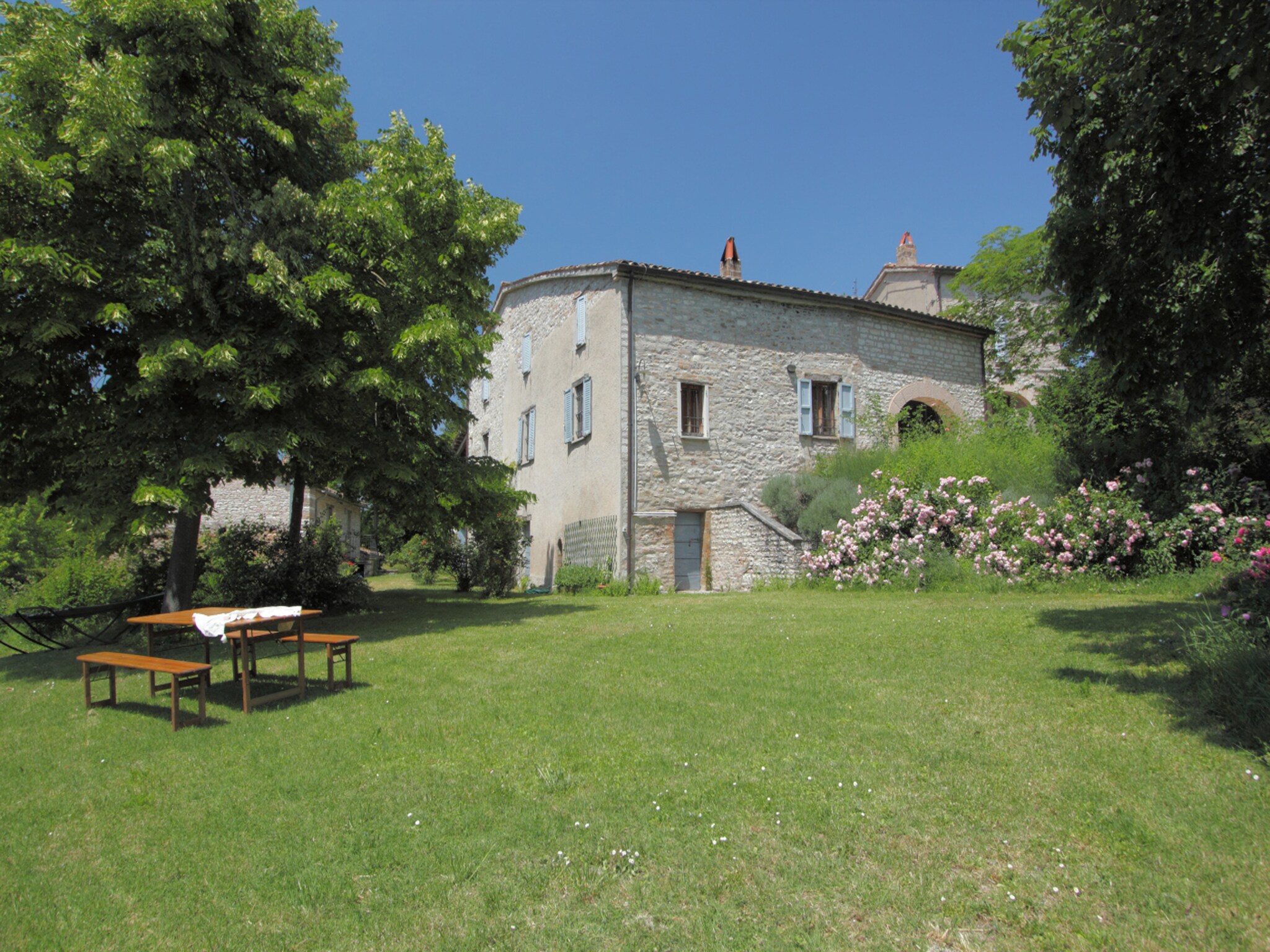   Del Frontino La Biagina
