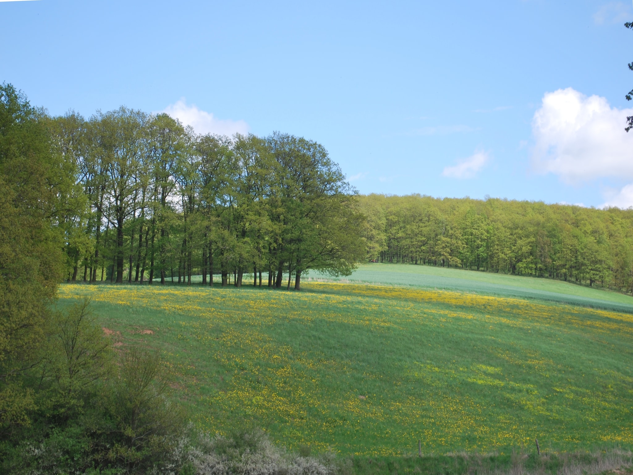 Ferienwohnung Alte Wassermühle