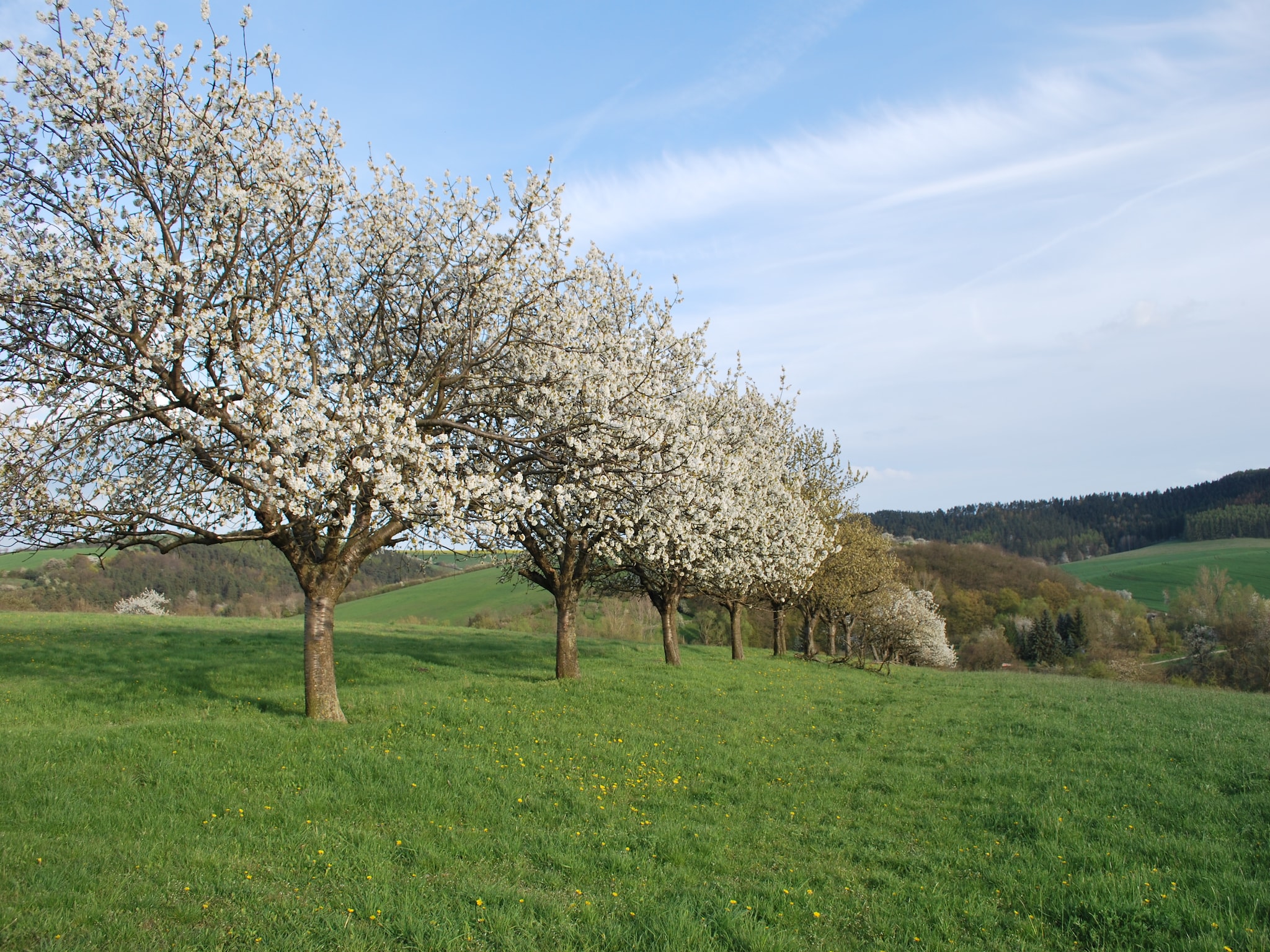Ferienwohnung Alte Wassermühle