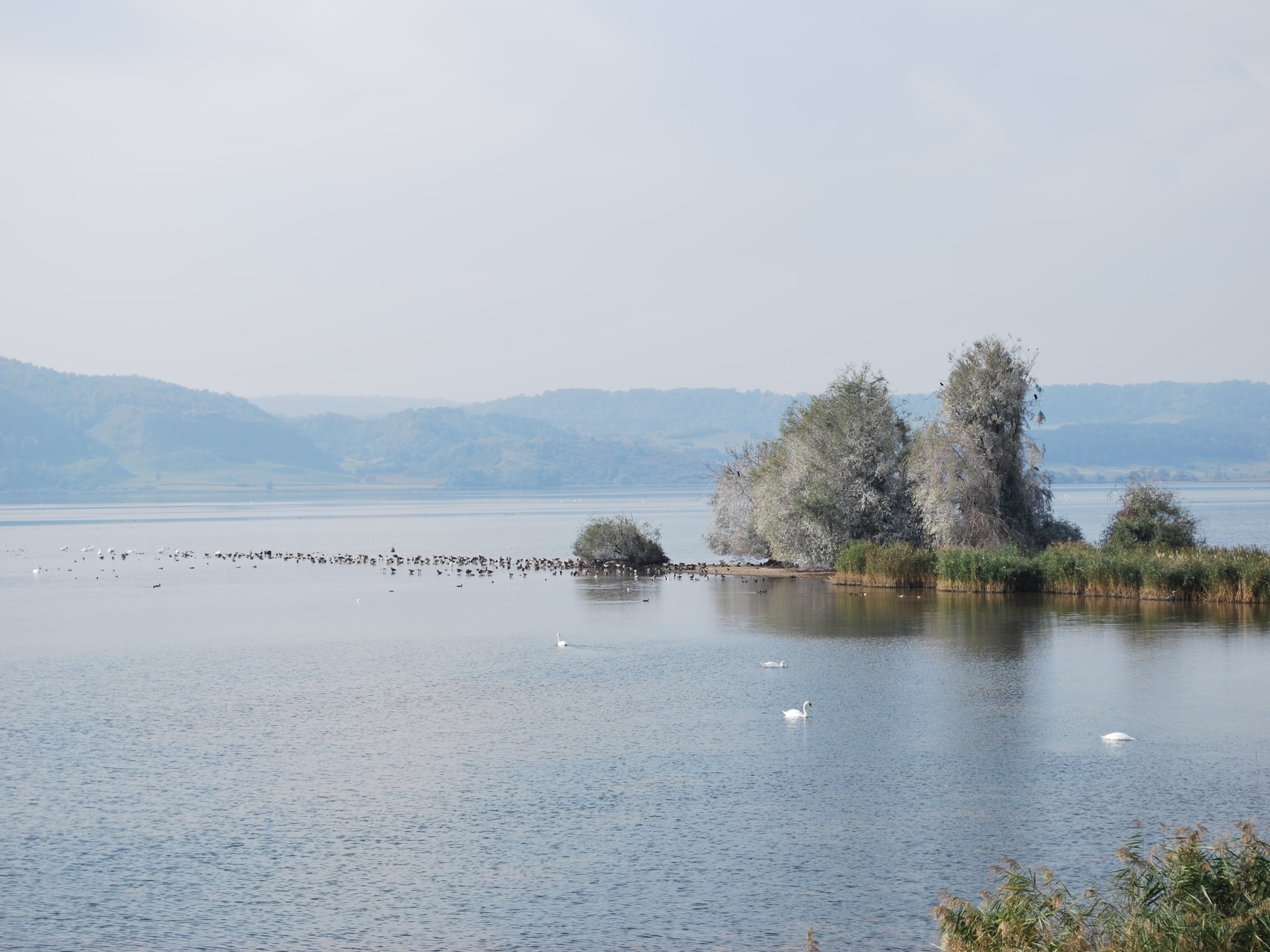 Ferienwohnung Alte Wassermühle