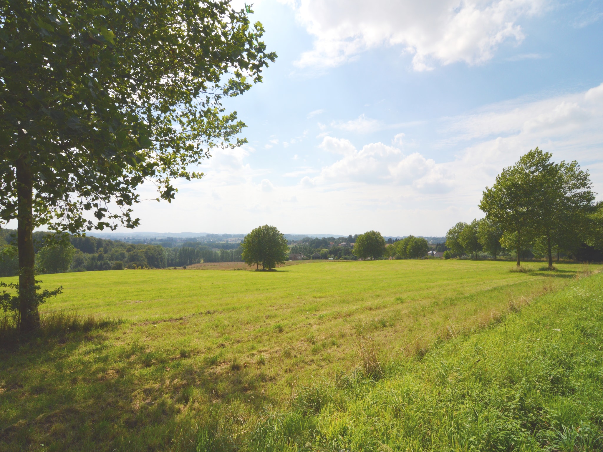 Ferienhaus House with a view