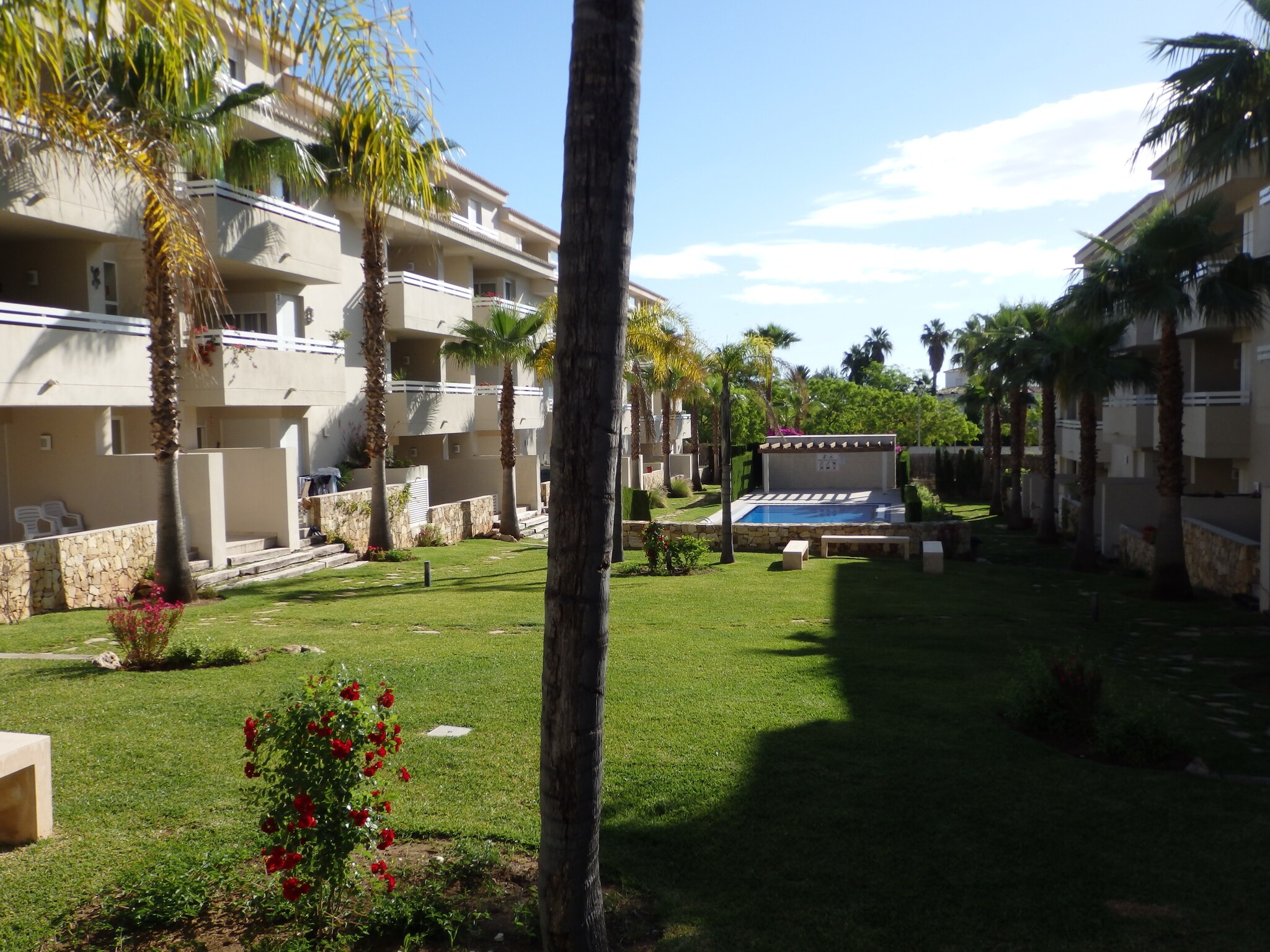 Apartment Green Paradise	