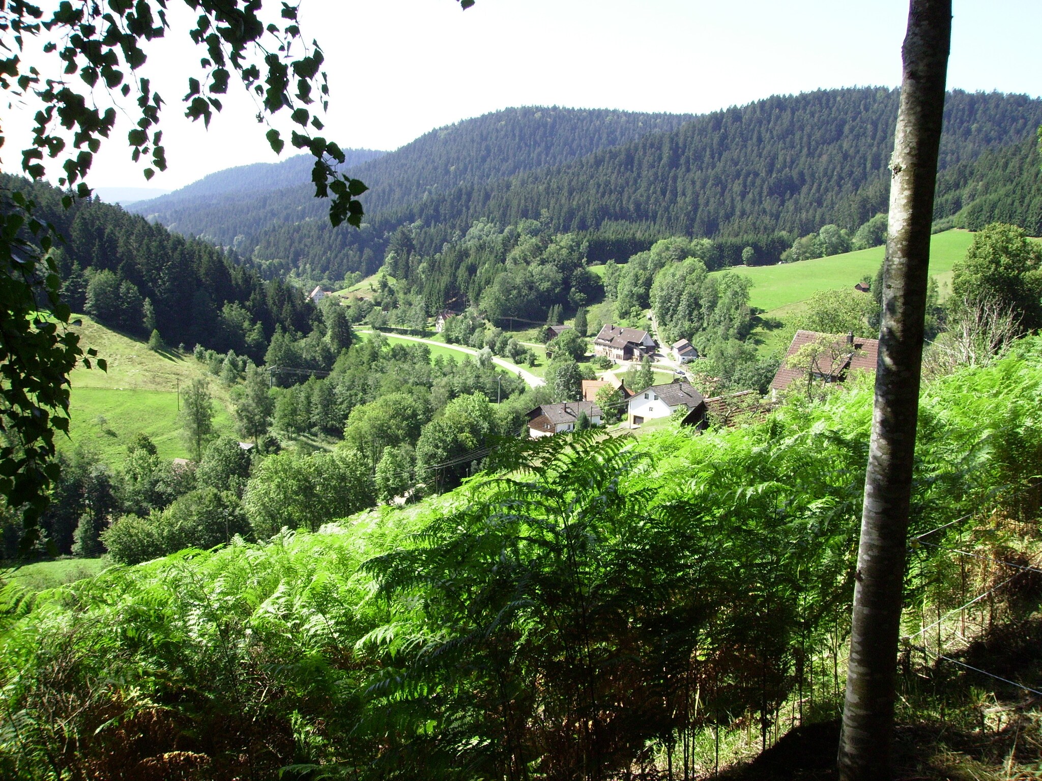   Schwarzwald