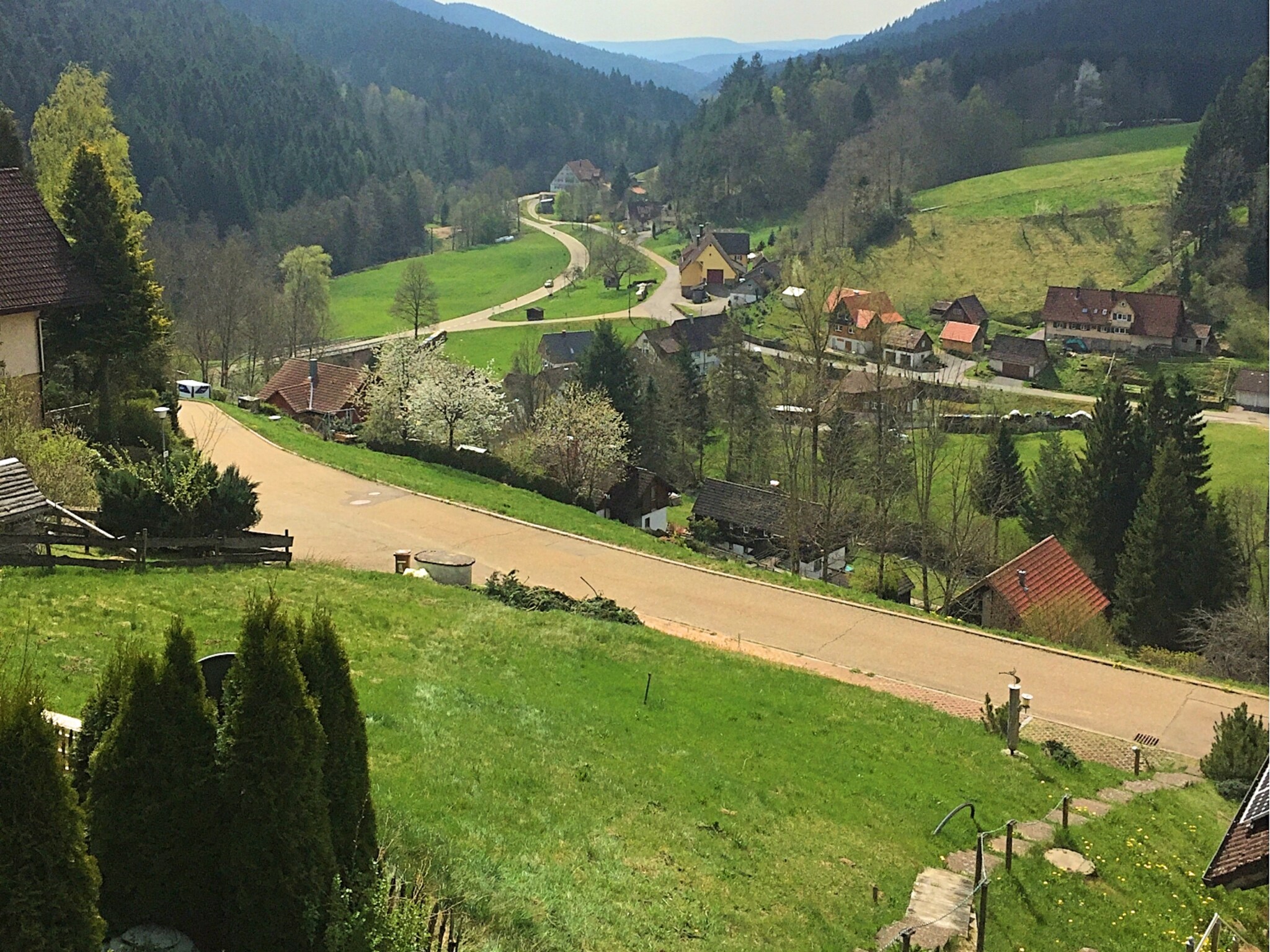   Schwarzwald