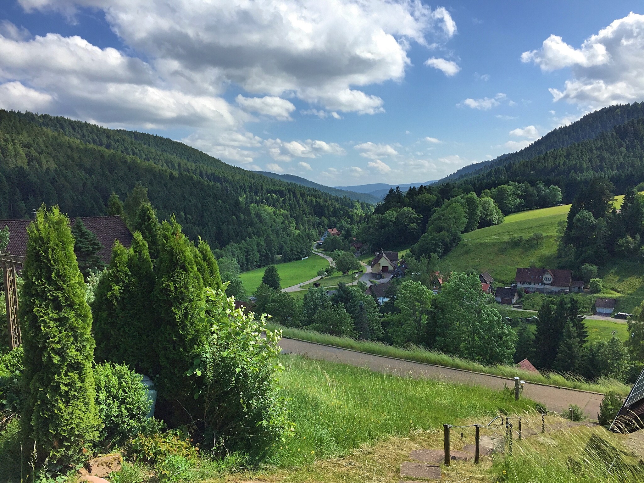   Schwarzwald
