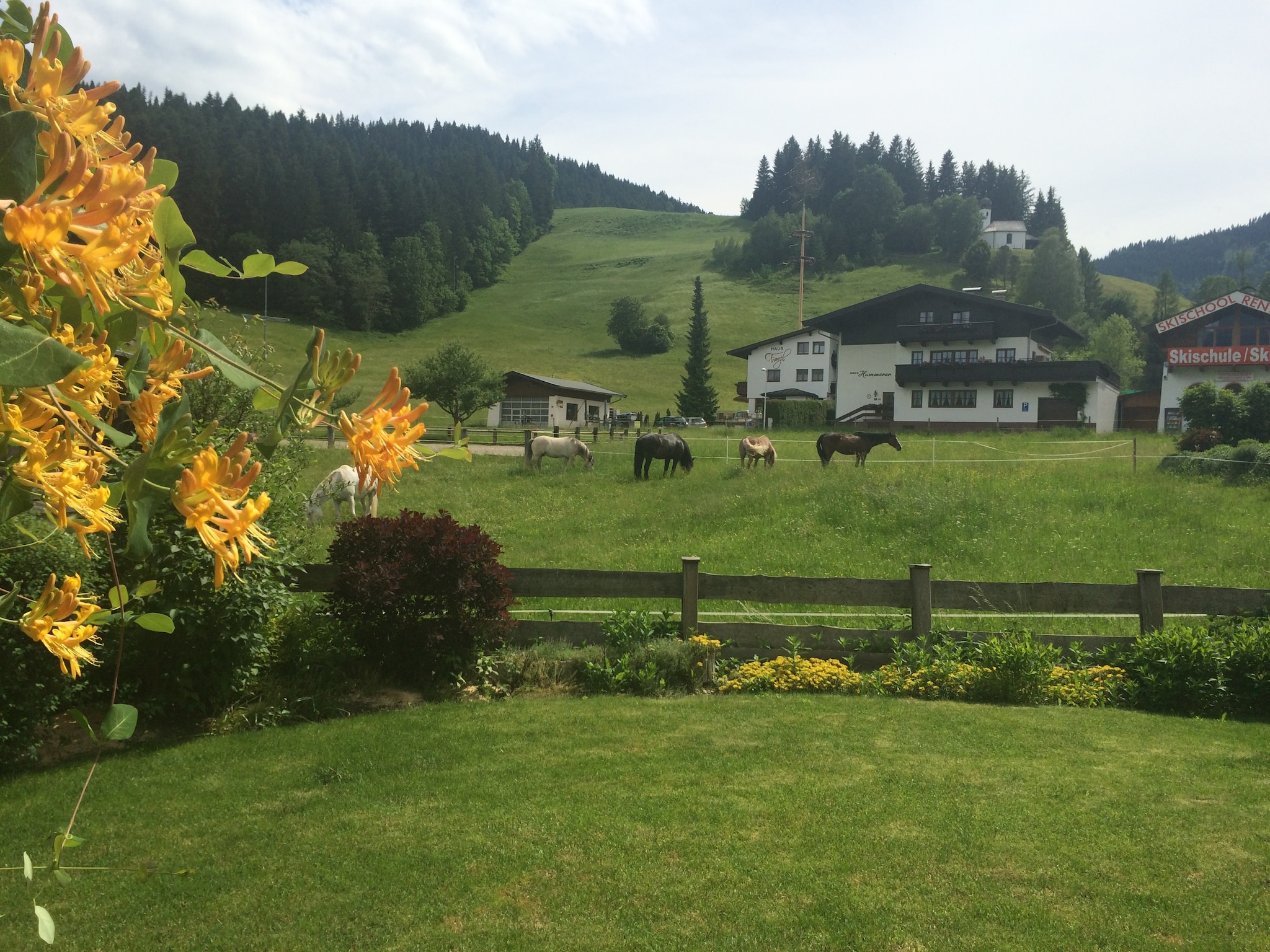 Ferienhaus Chalet Kaiserliebe II