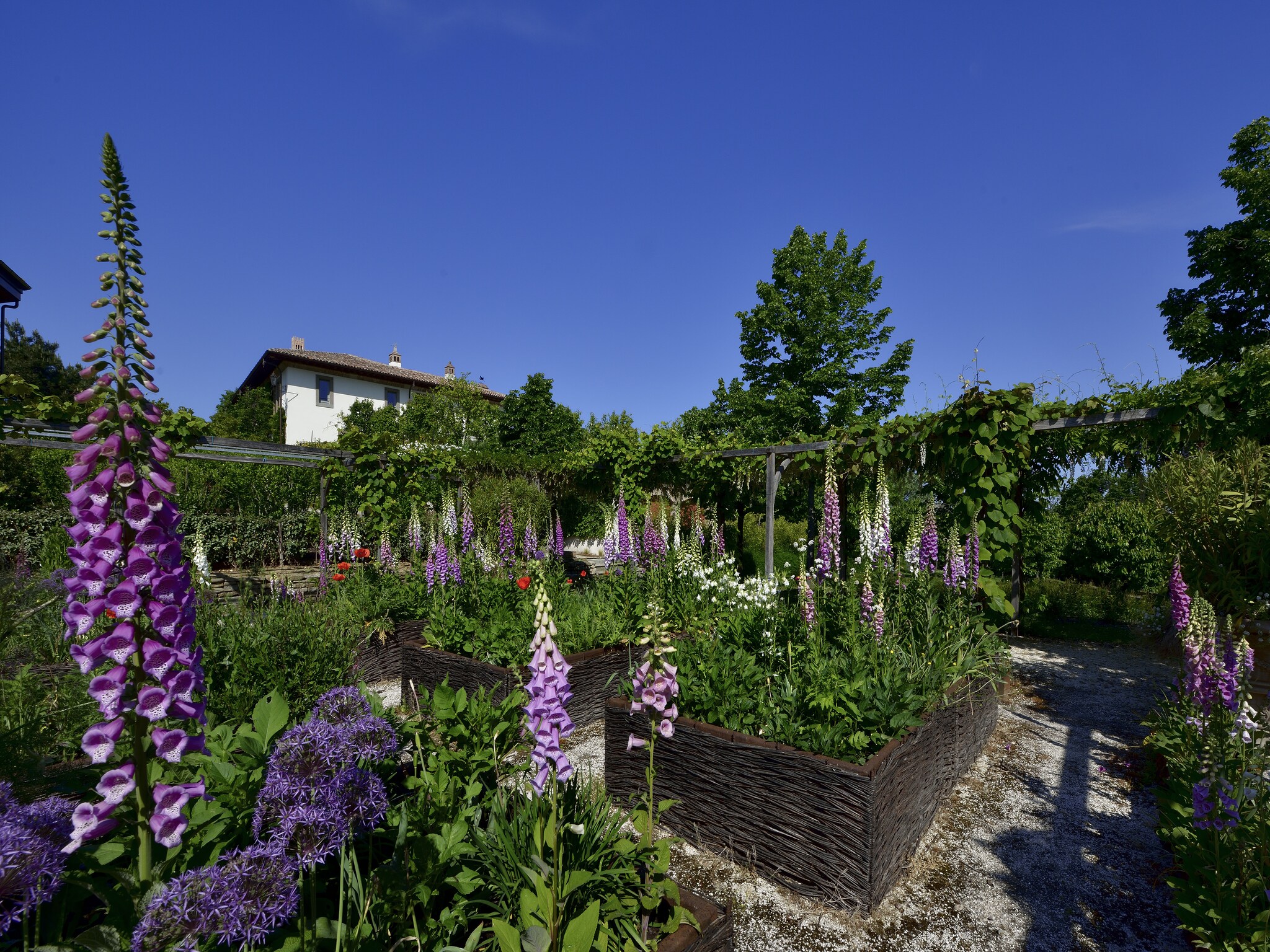   Villa Amagioia Residenza alberghiera