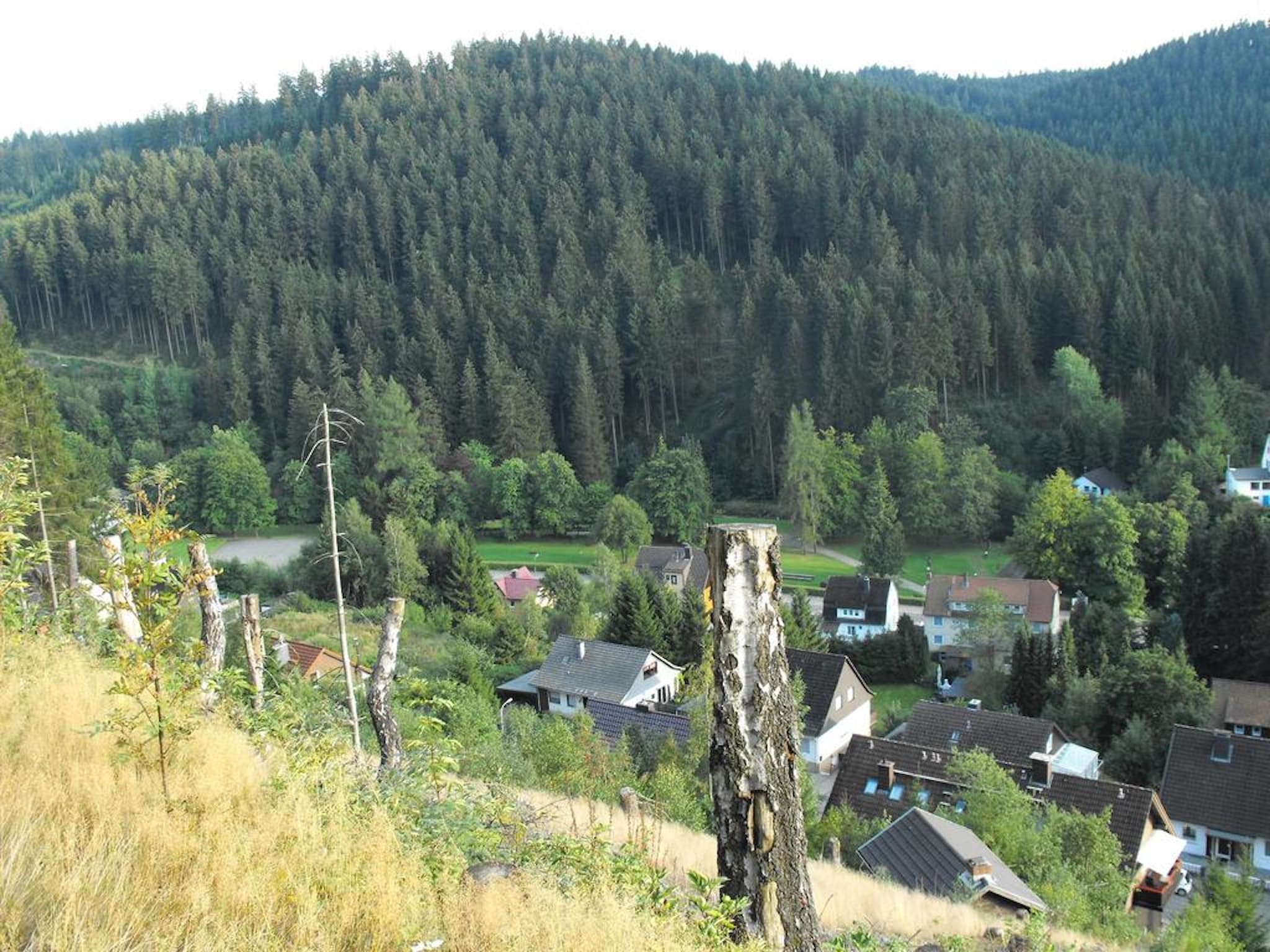 Appartement Wildemann