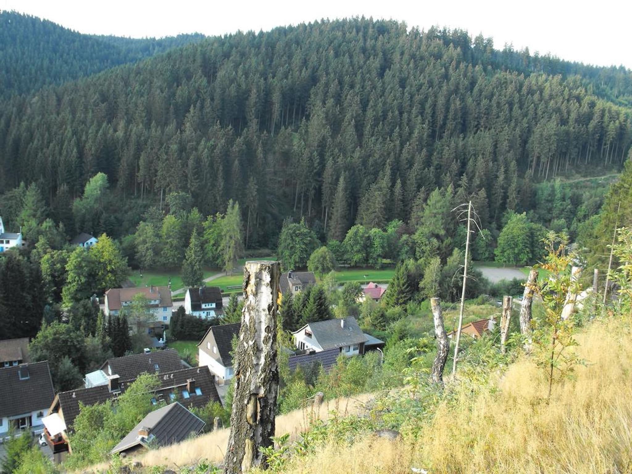 Appartement Wildemann
