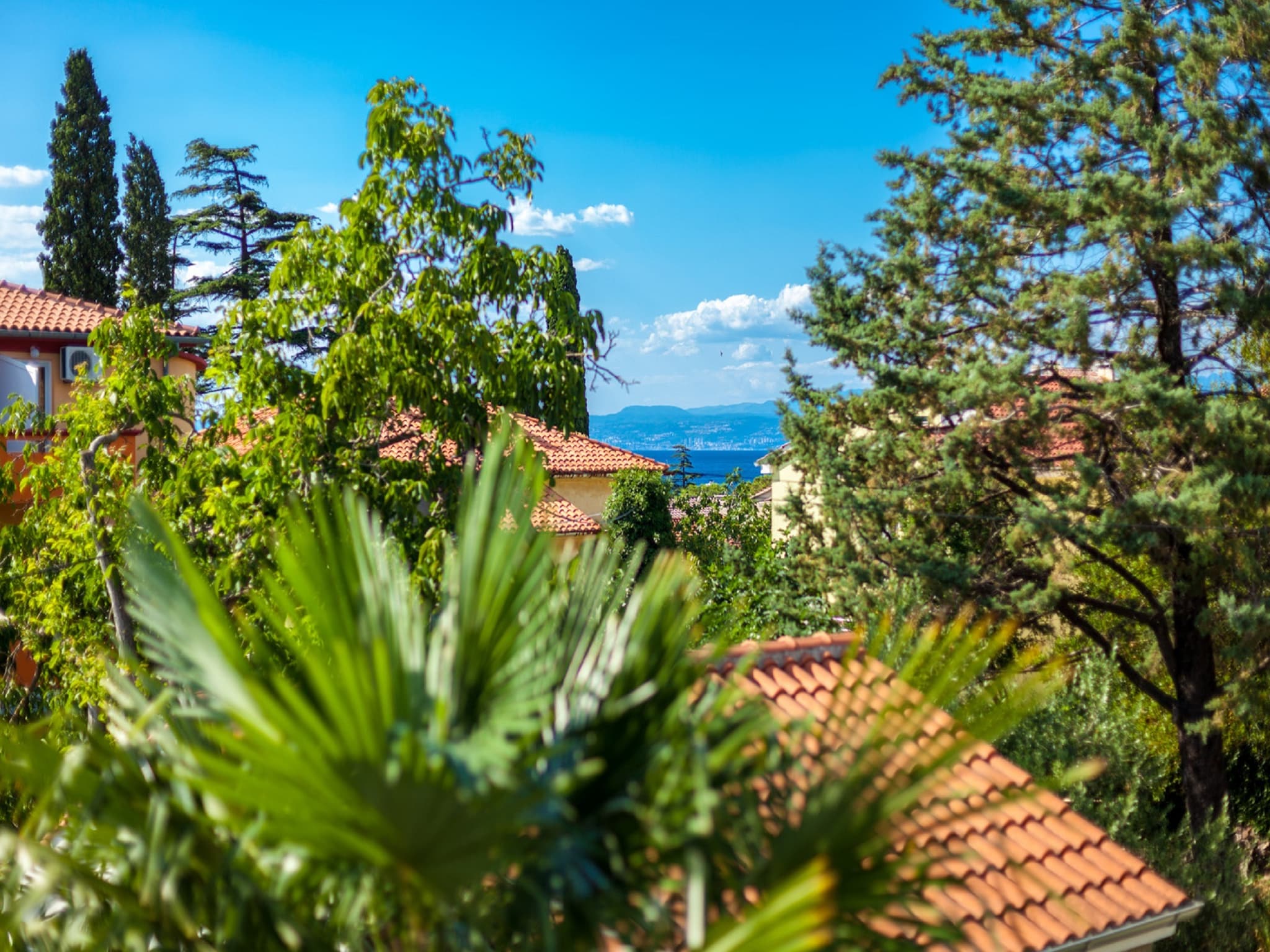   Apartment Marija