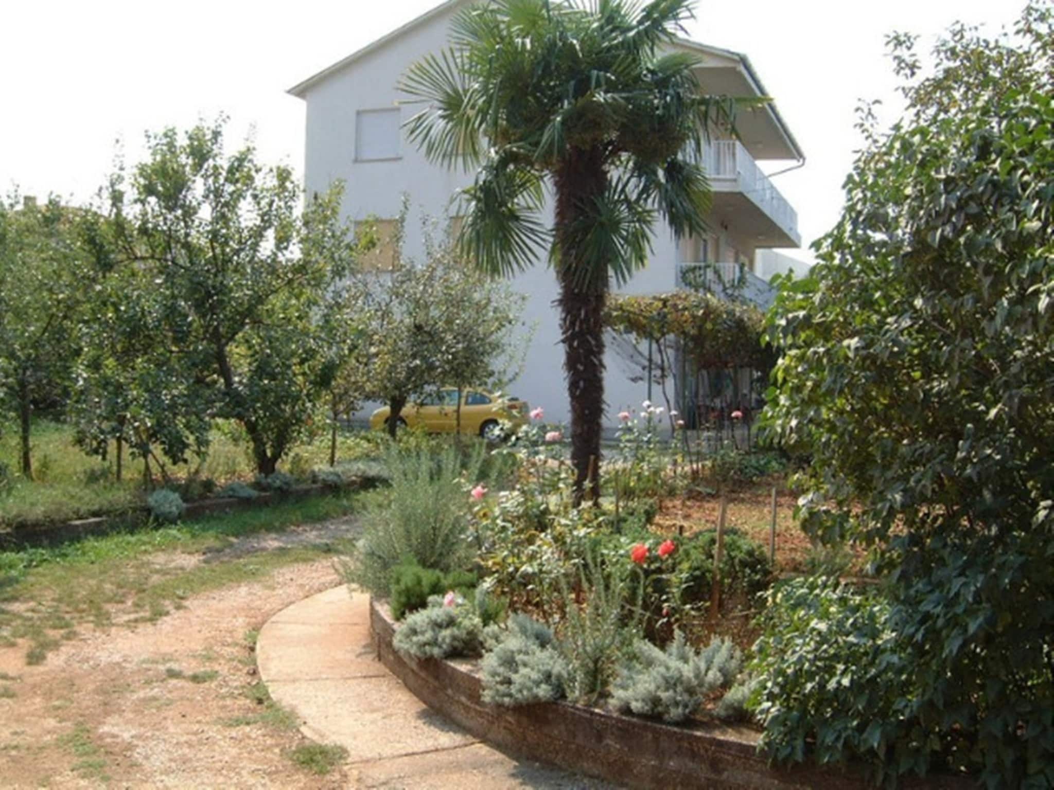 Apartmá Apartment Soic
