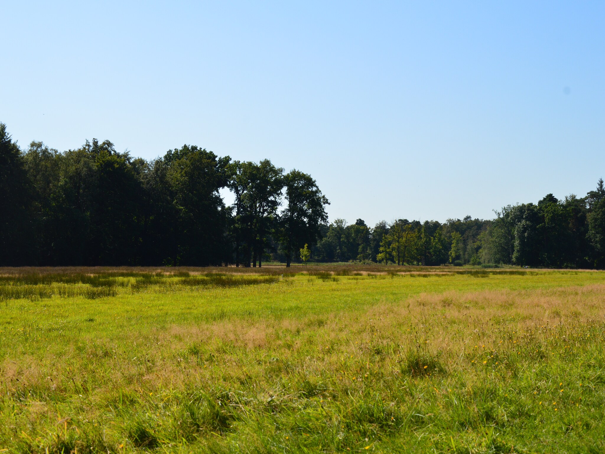   Poort naar de Veluwe