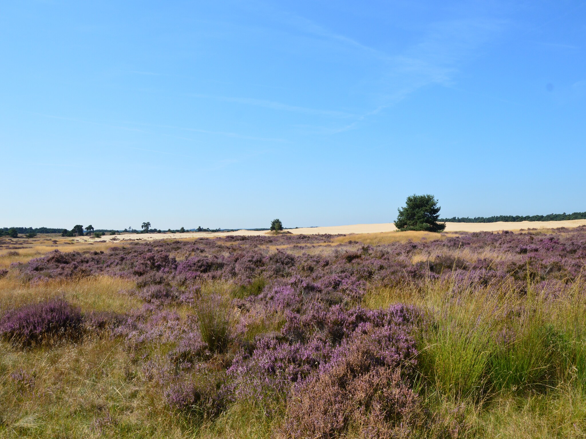   Poort naar de Veluwe
