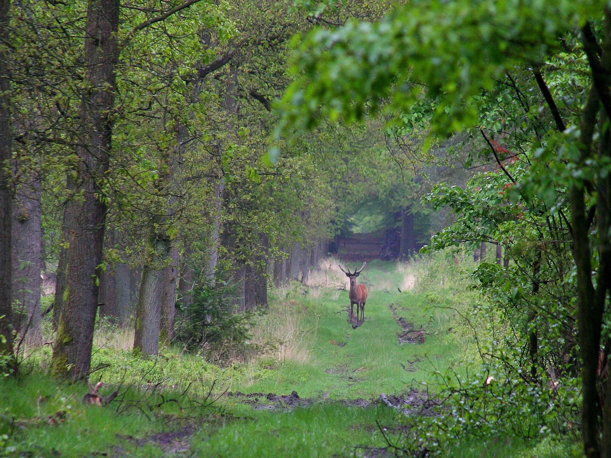   Poort naar de Veluwe