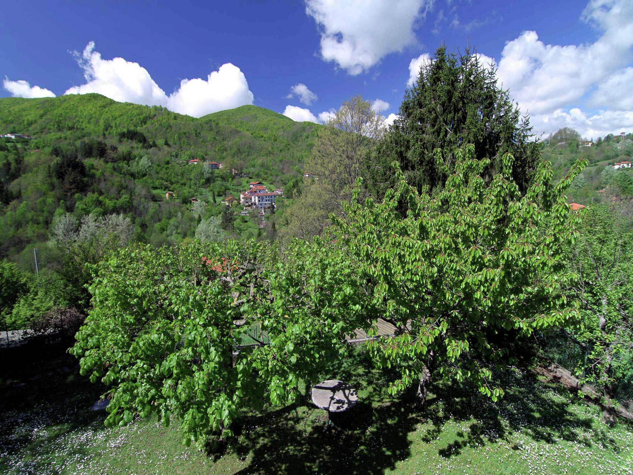   Il Cerro