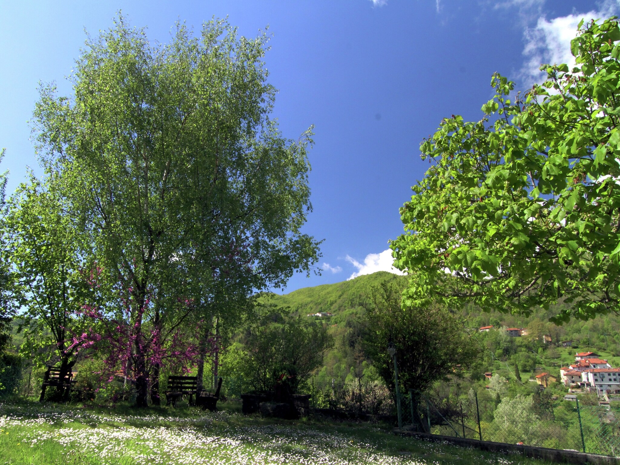   Il Cerro