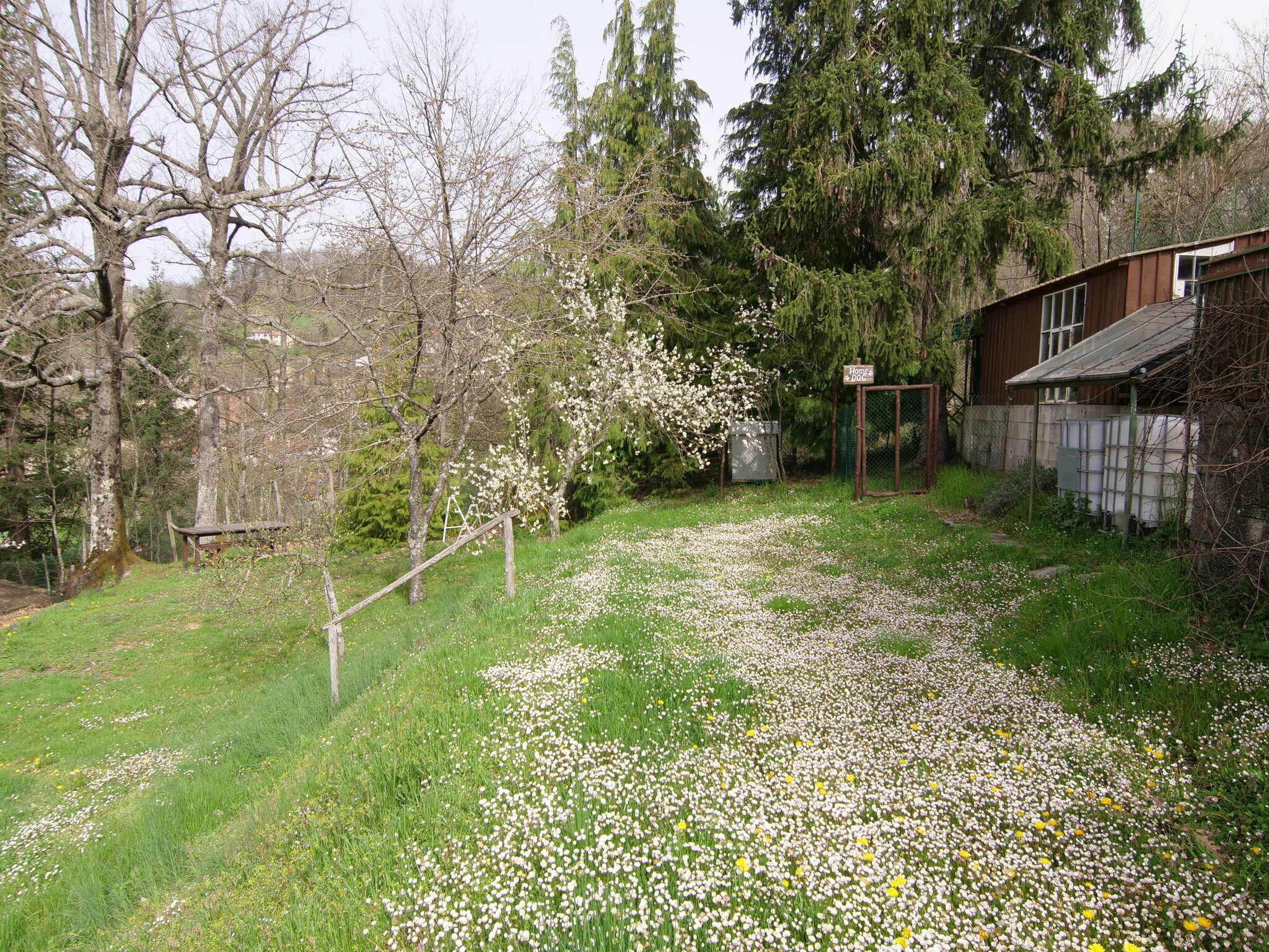   Il Cerro