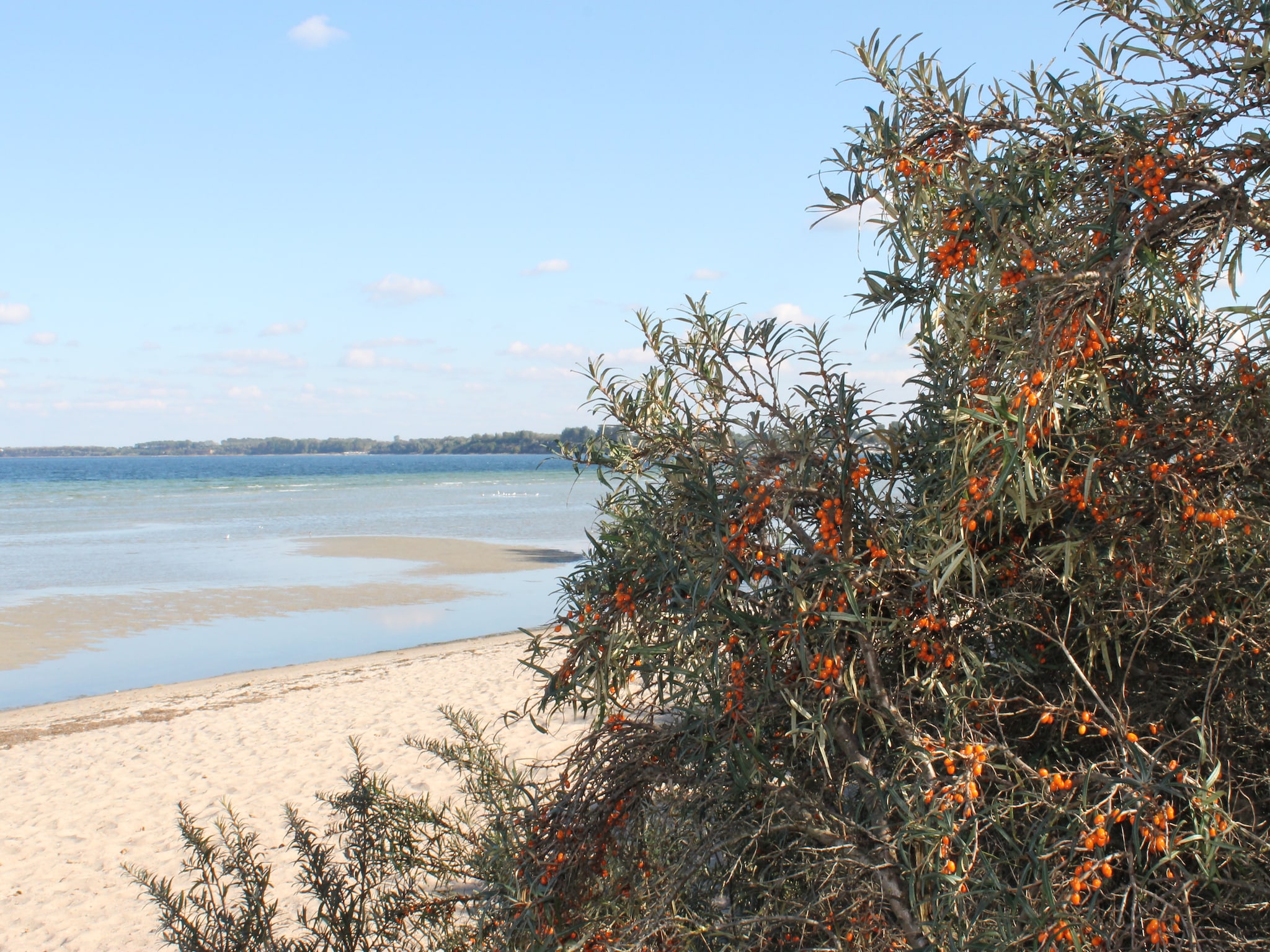 Apartmá Im Ostseebad Boltenhagen