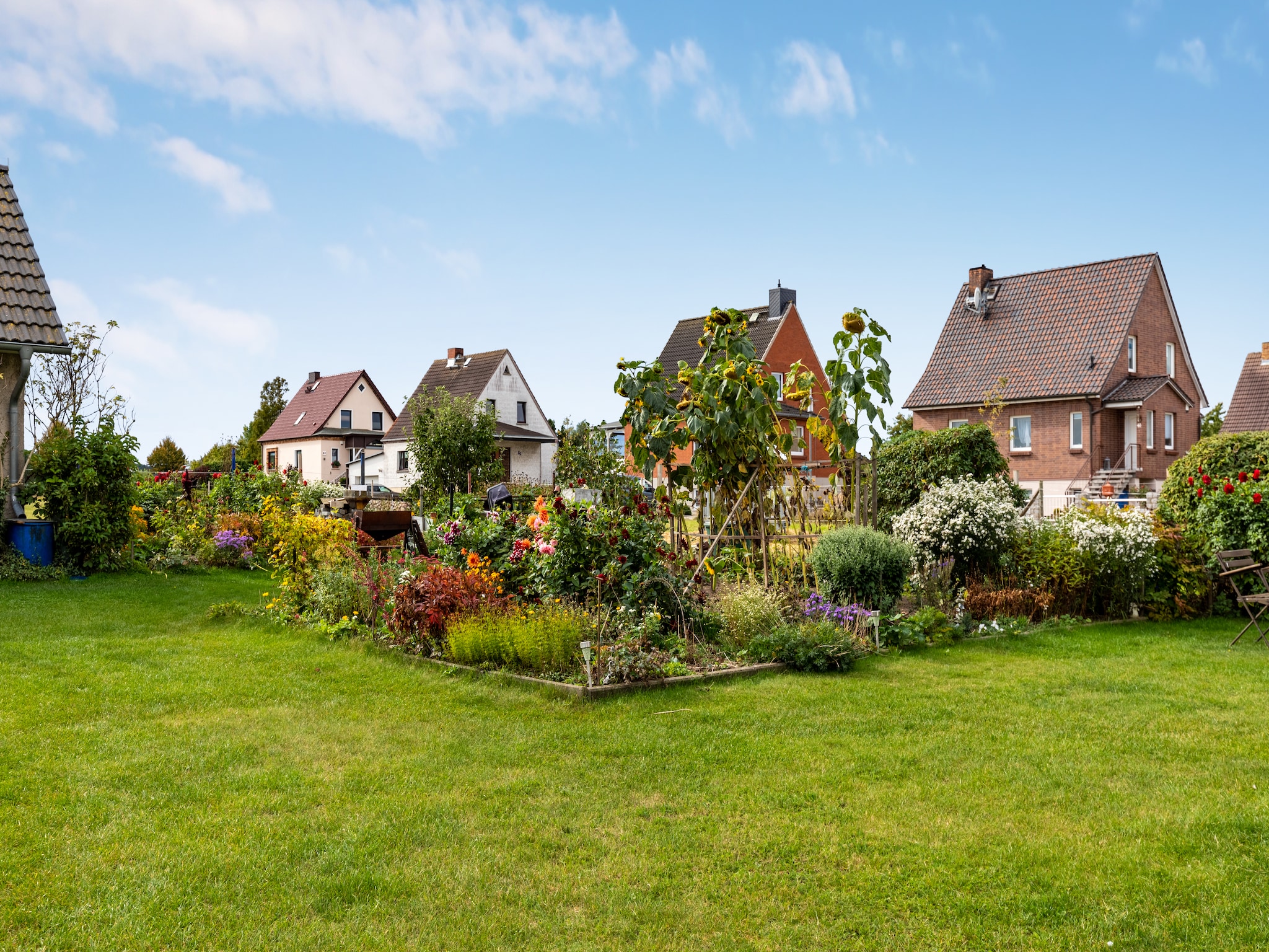 Ferienwohnung Wiesenblick