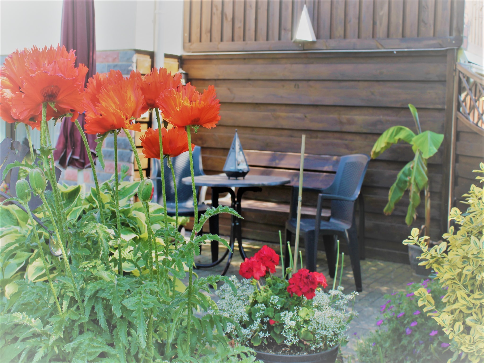 Apartmá Feldblick