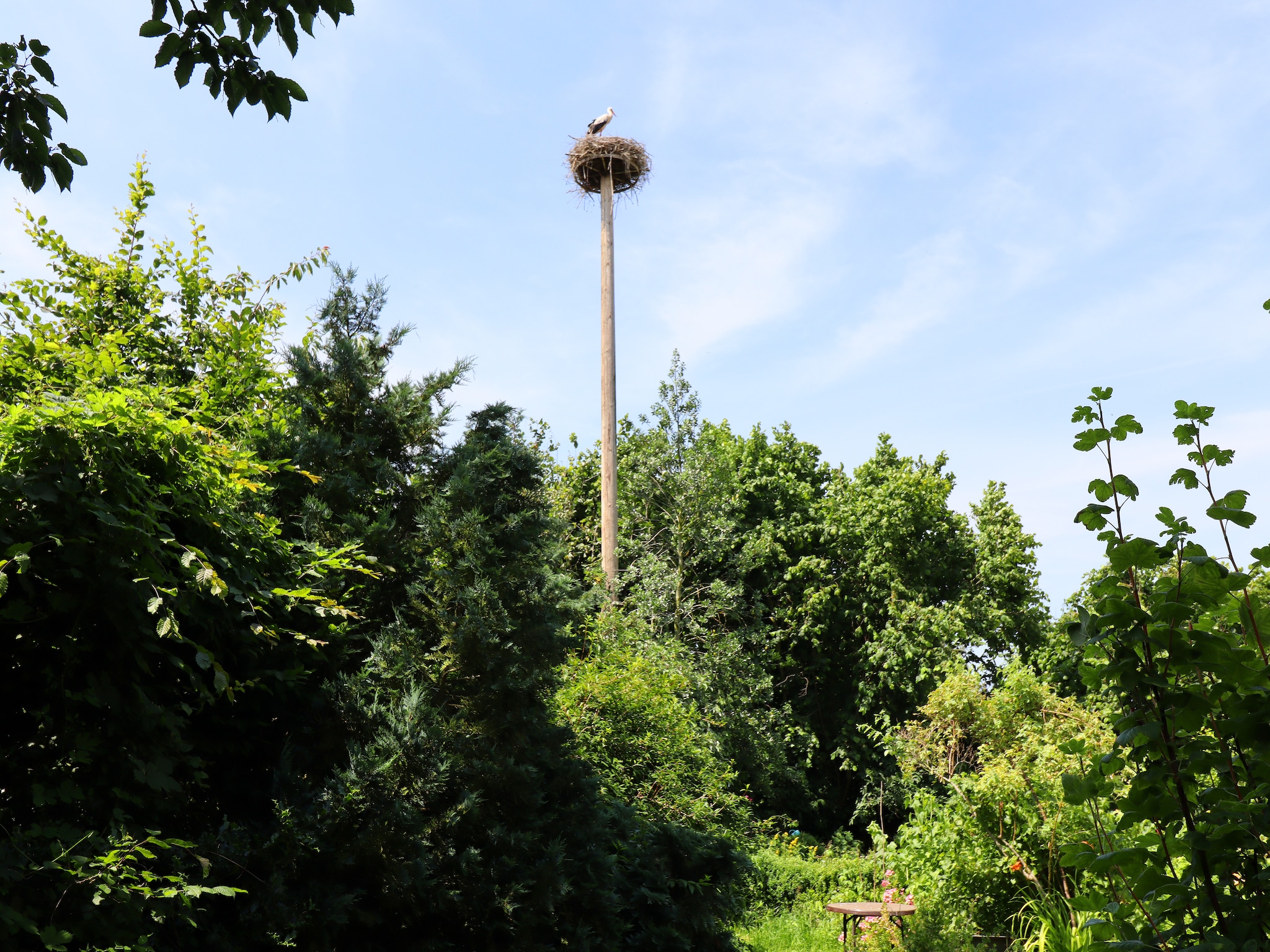 Appartement Ferienwohnung Parkblick mit 3 Schlafzimmern