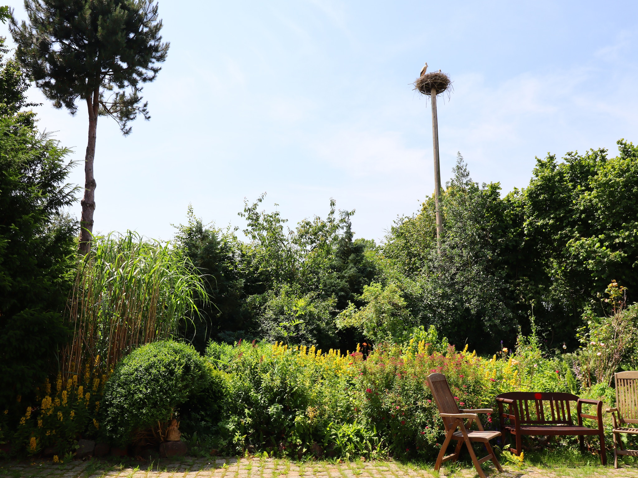 Appartement Ferienwohnung Parkblick mit 3 Schlafzimmern