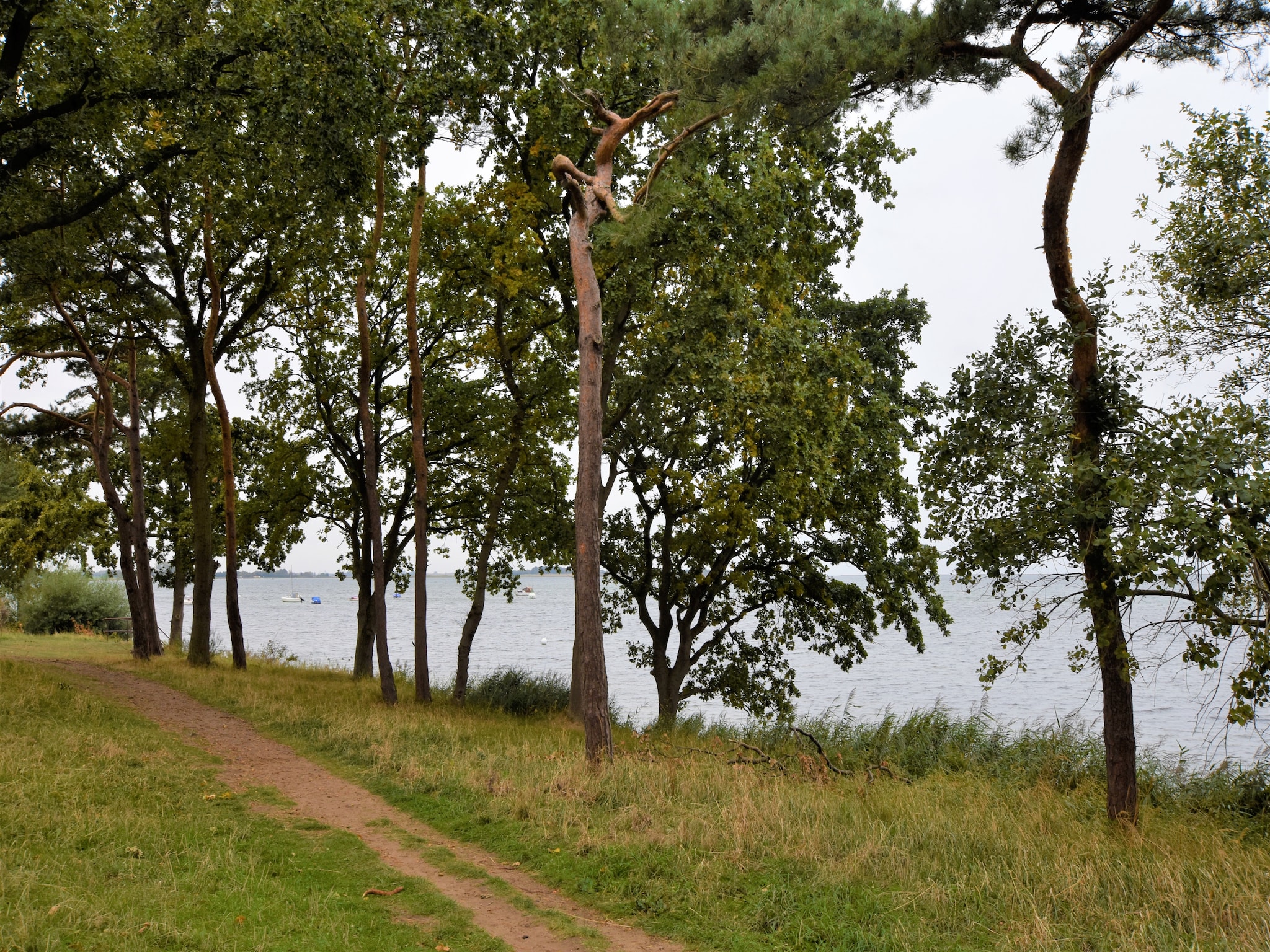   Salzhaff-Finka Pepelow Campingplatz für Surfe