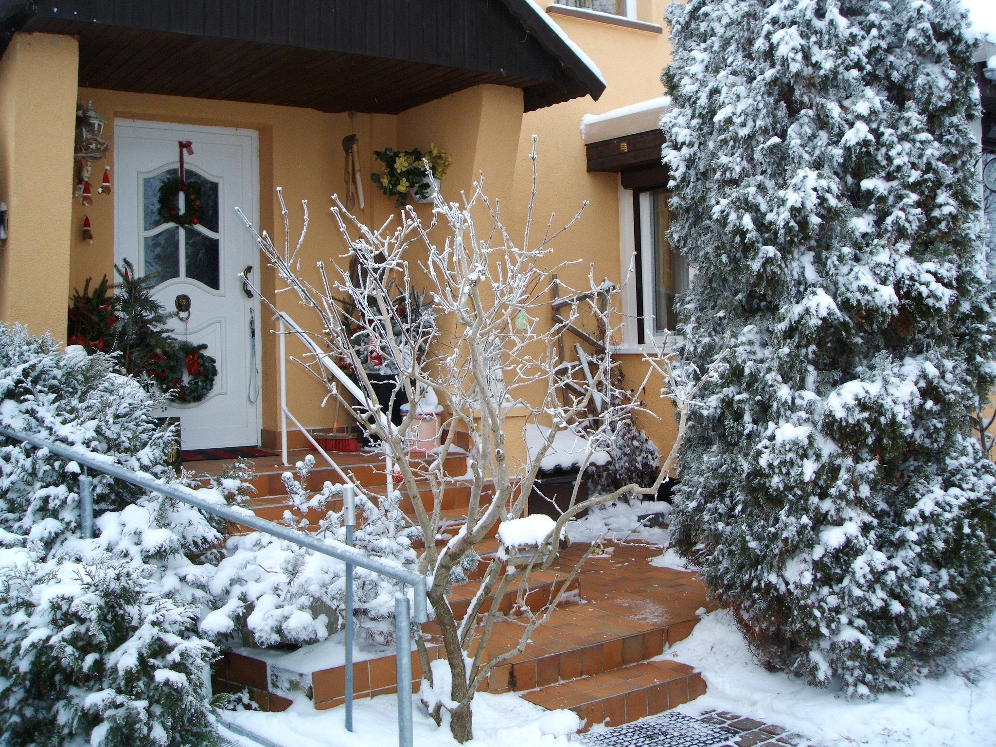 Apartment Urlaub Nähe Bad Doberan