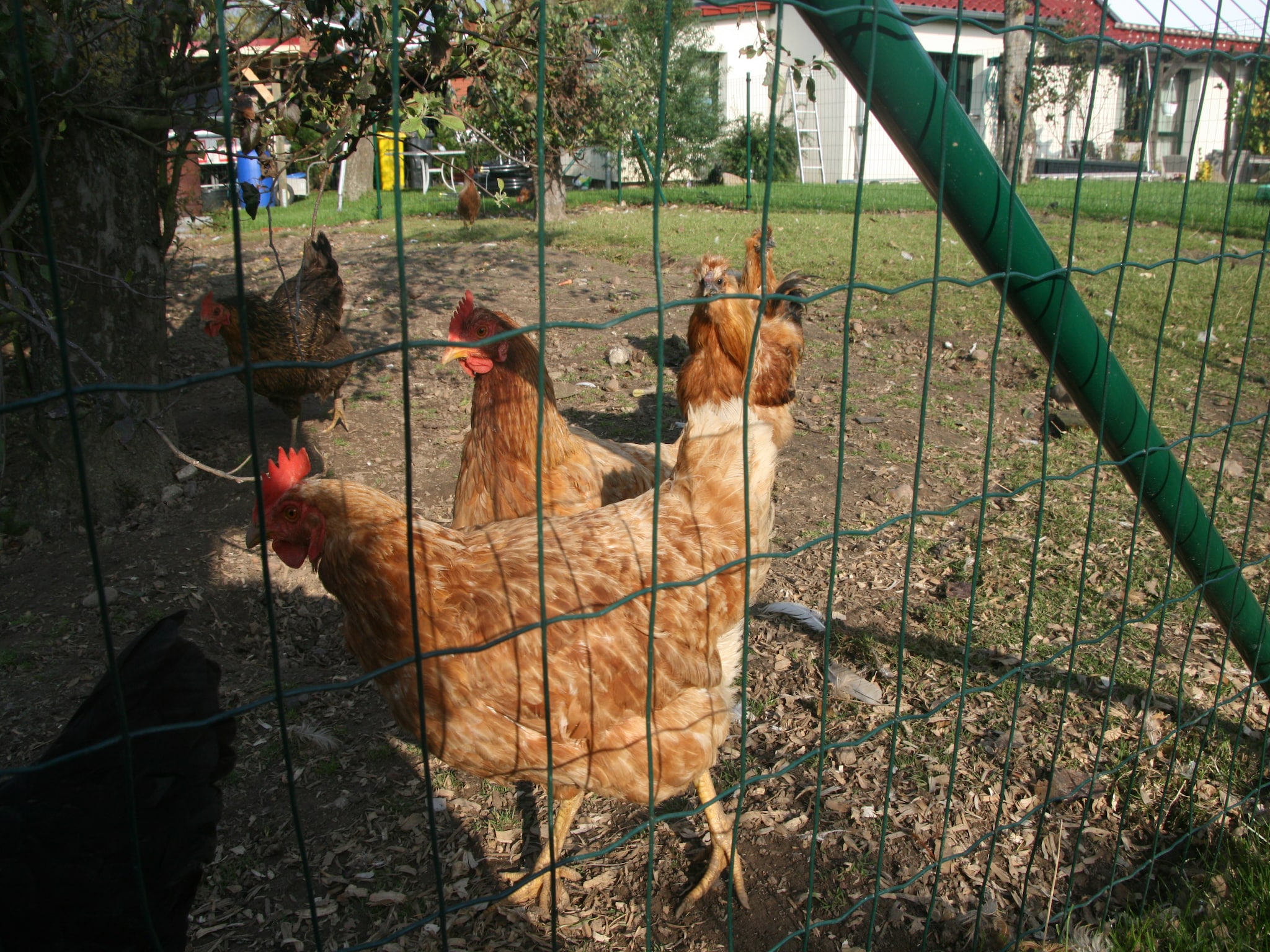   Ferienzimmer im Landhaus bei Kühlungsborn