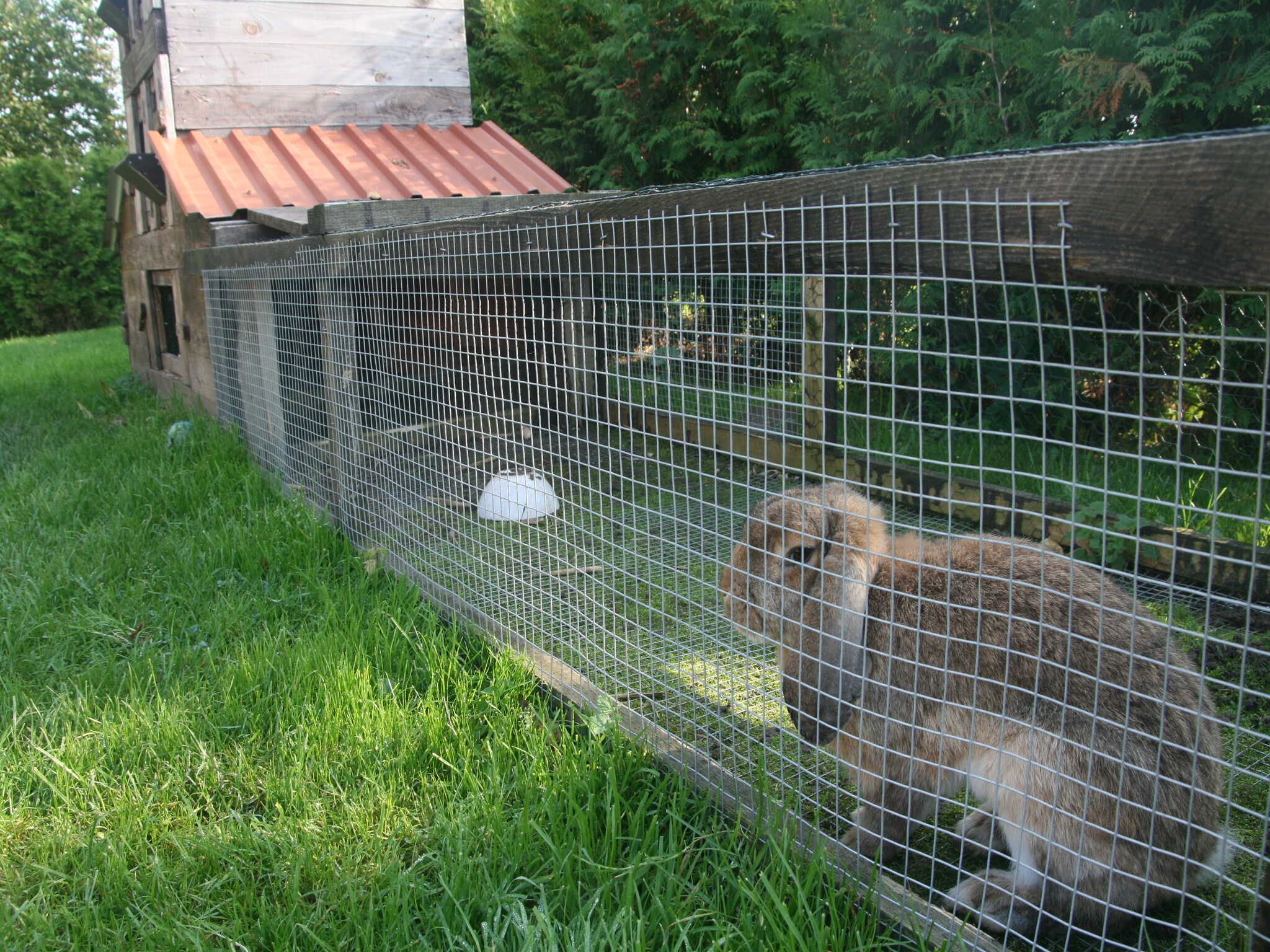   Ferienzimmer im Landhaus bei Kühlungsborn