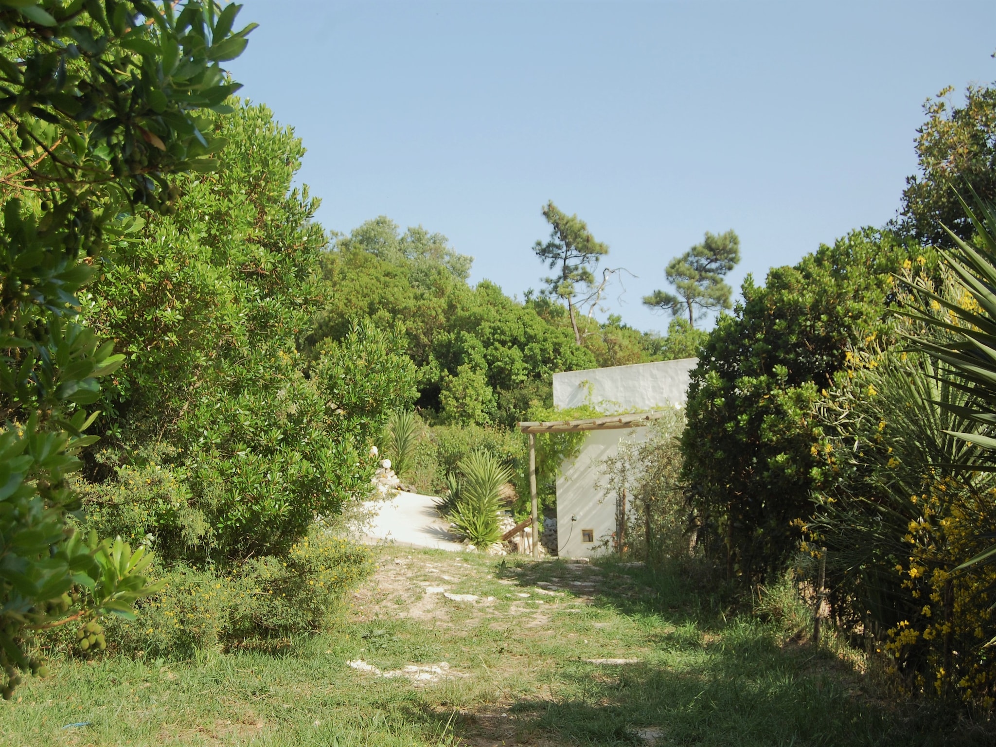 Lomatalo Alto da Maceira