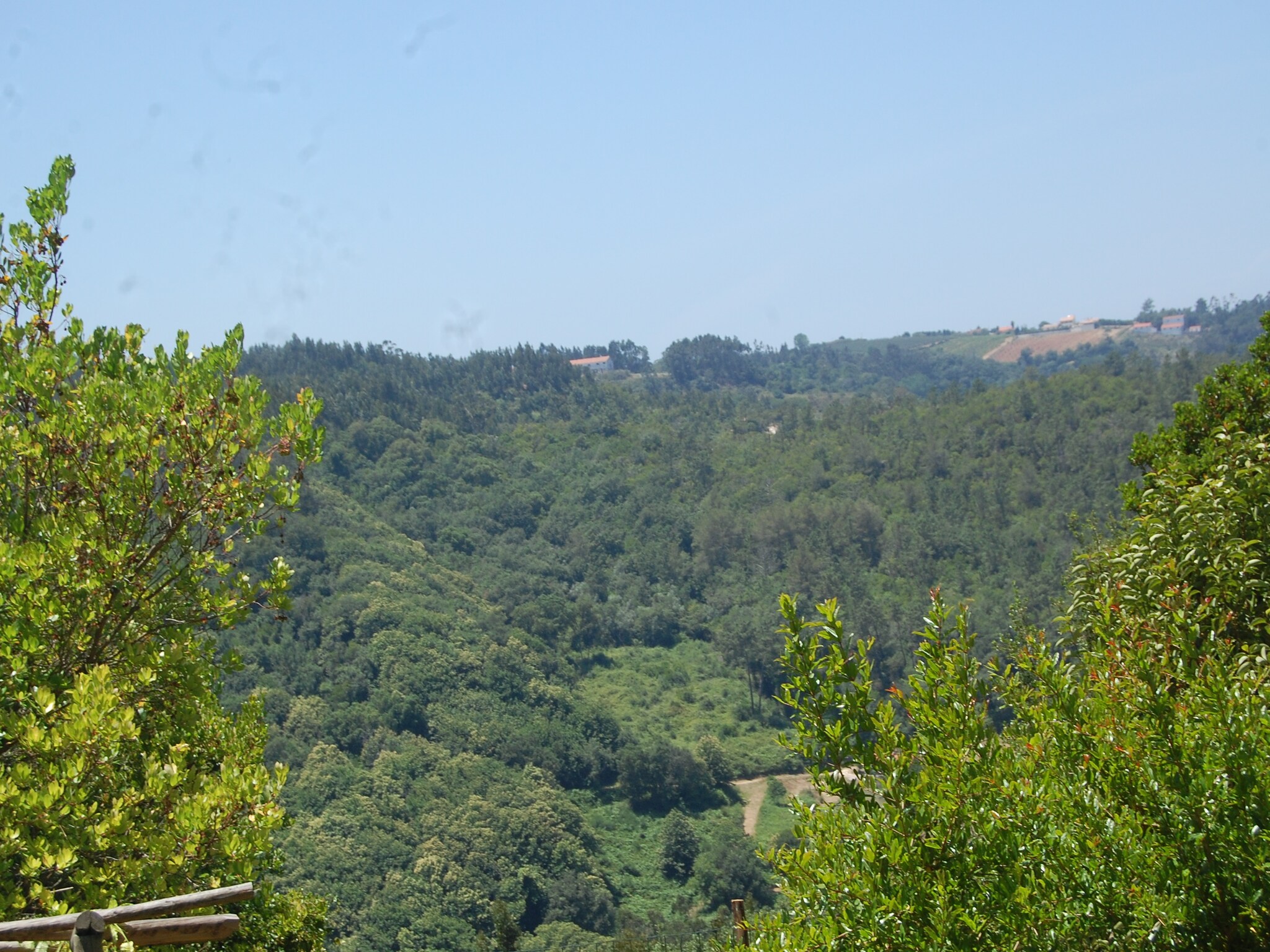 Lomatalo Alto da Maceira