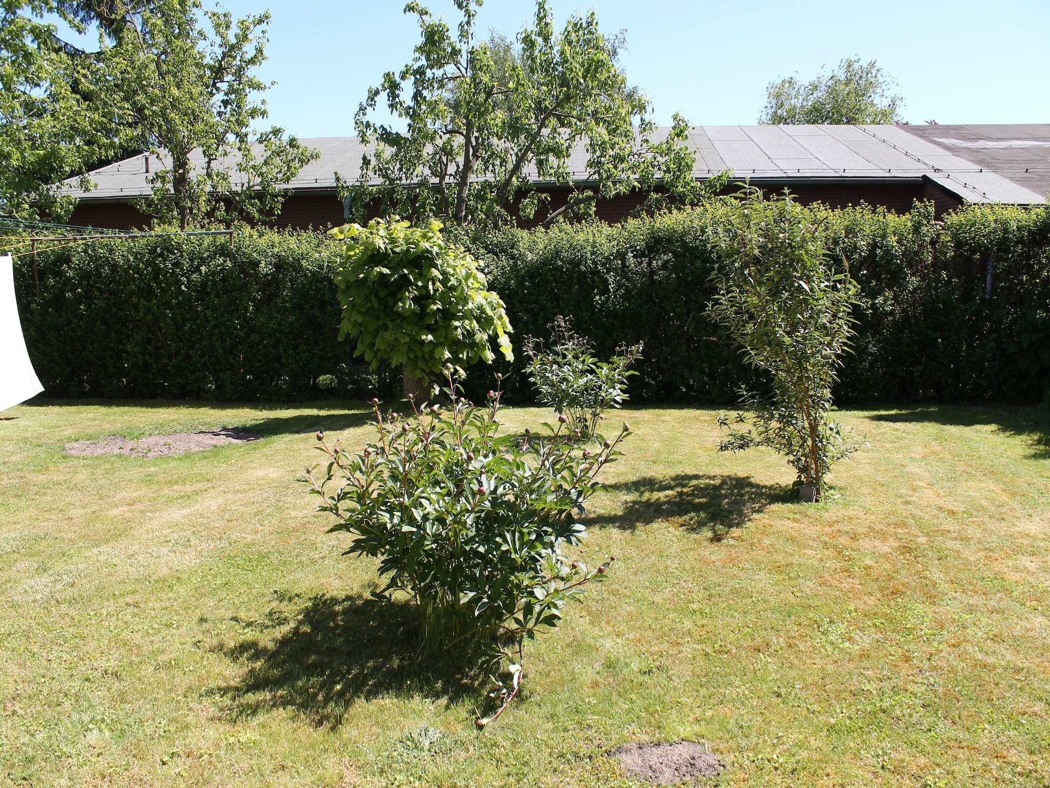 Ferienwohnung Ferienwohnung mit großem Garten