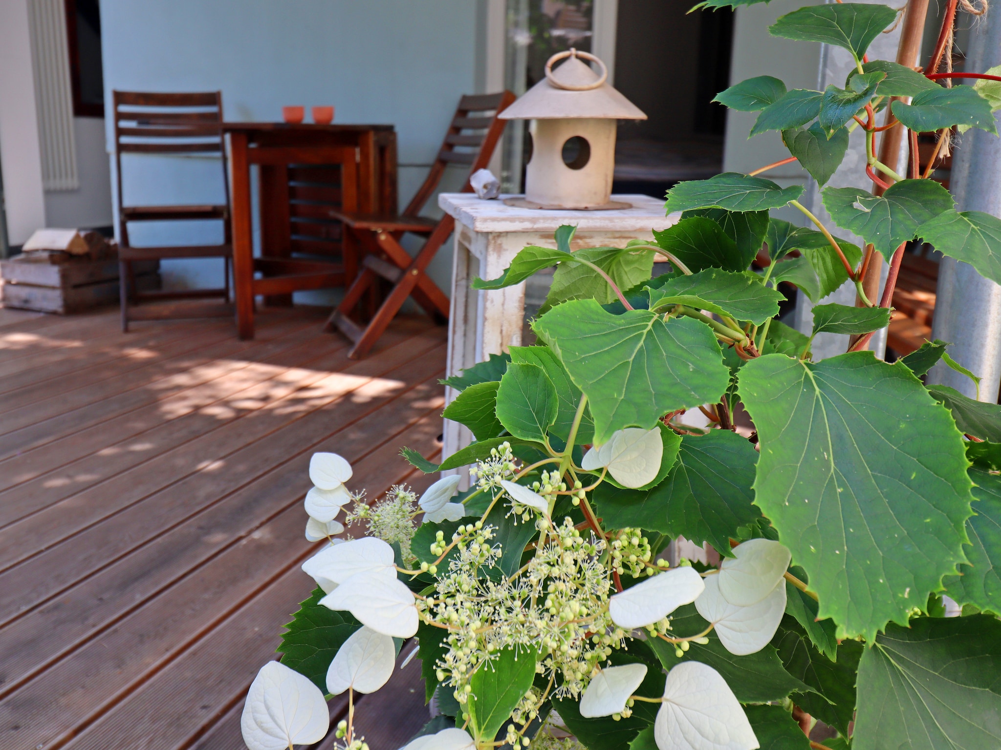 Ferienwohnung Backbord Hansestadt Wismar mit Terrasse