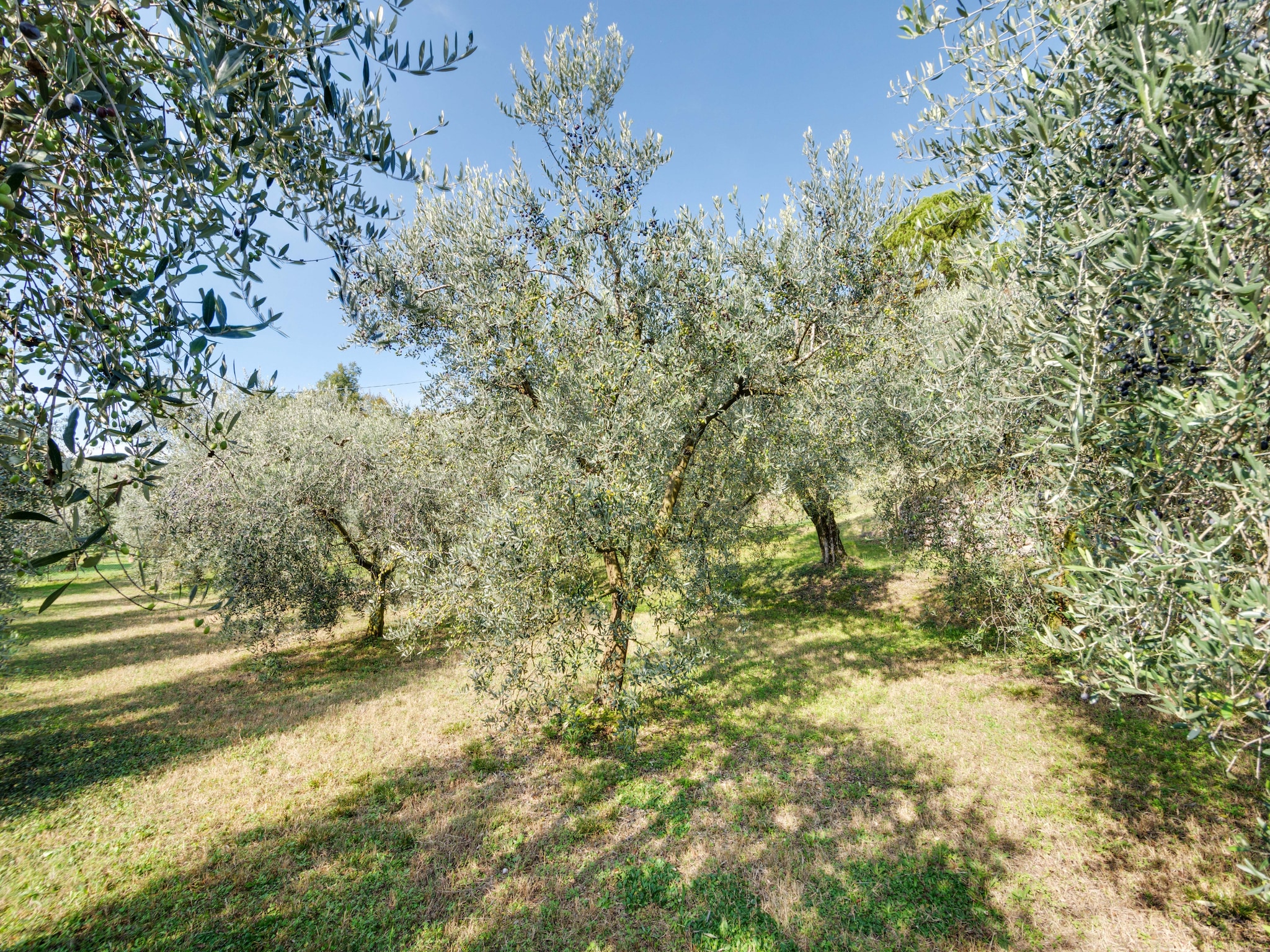   Villa Pozzol