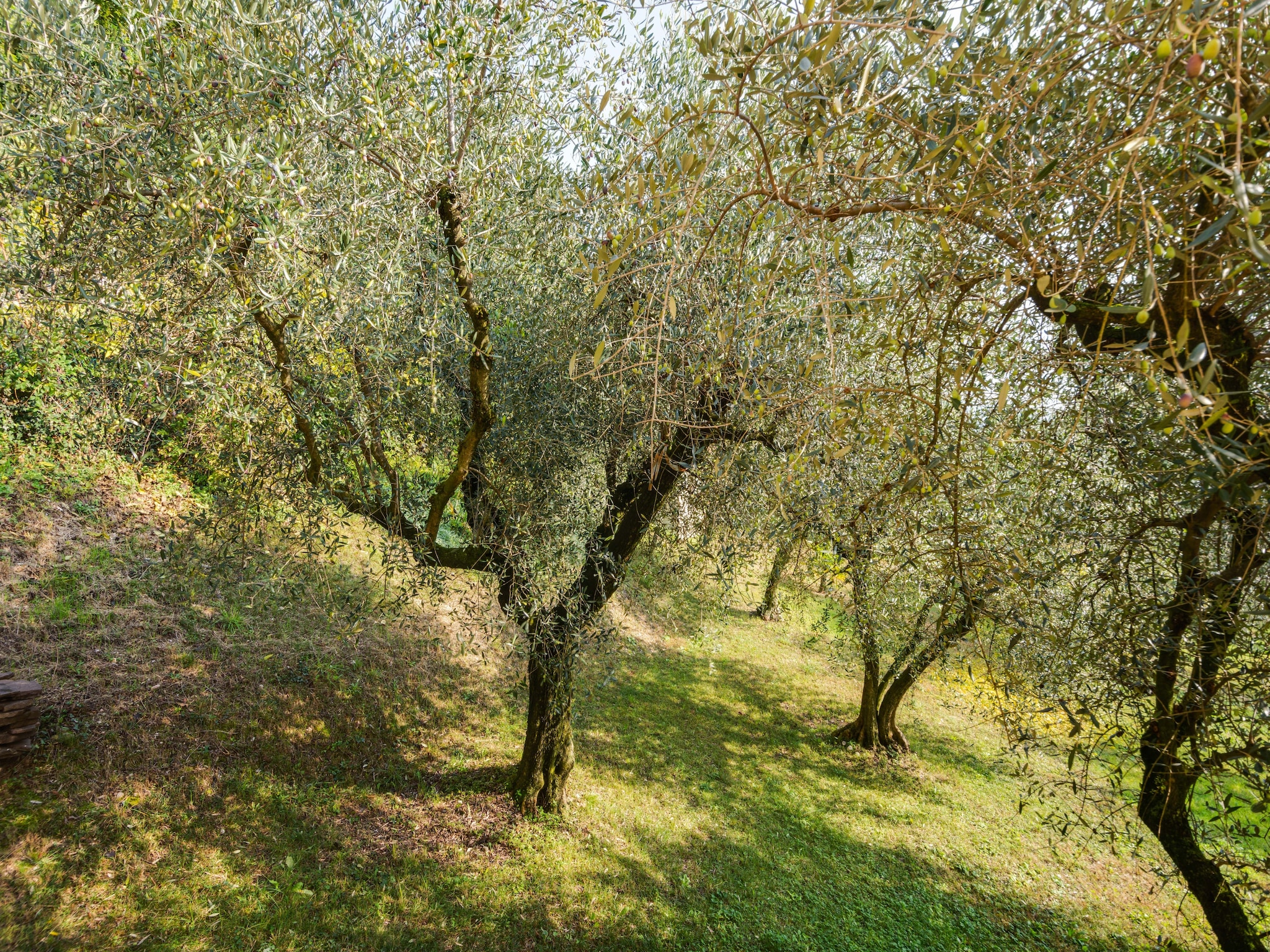   Villa Pozzol